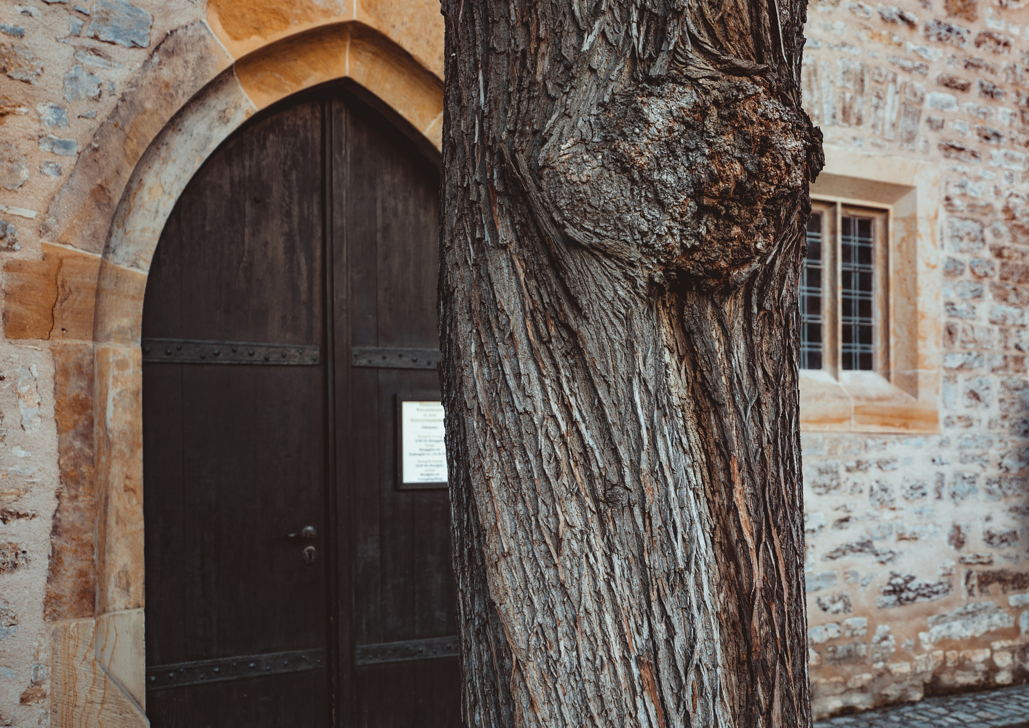 Sony FE PZ 28-135mm F4 G OSS sample photo. Tree - church - door photography