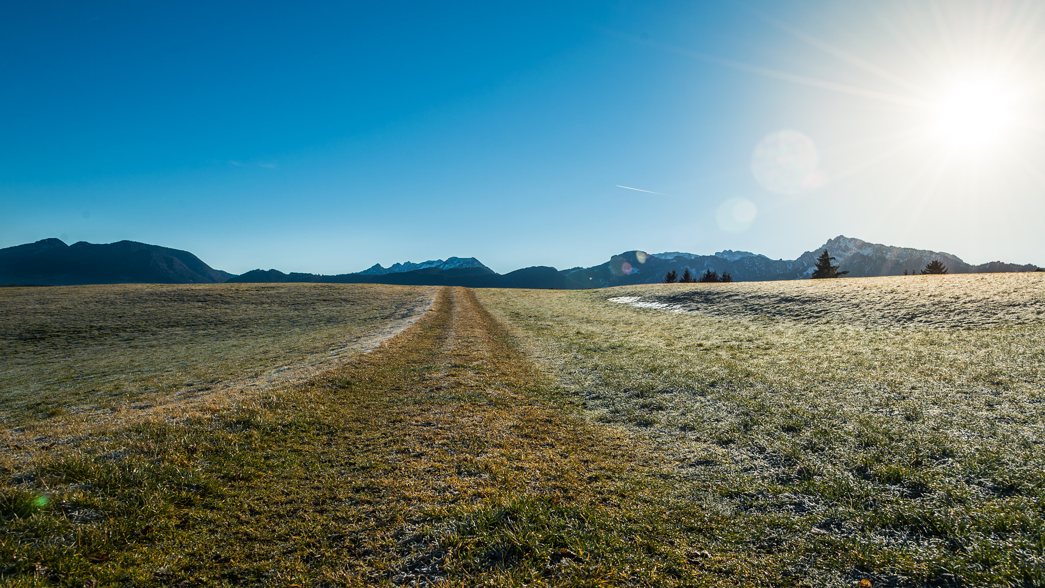 Nikon Df sample photo. The way photography