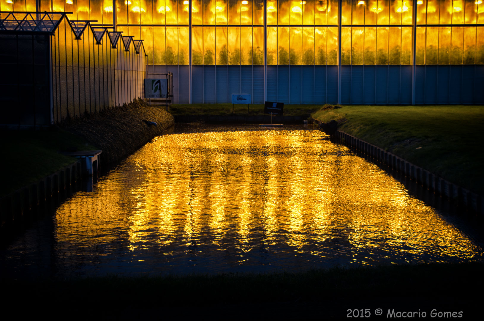 Pentax K-01 sample photo. A bit yellow photography