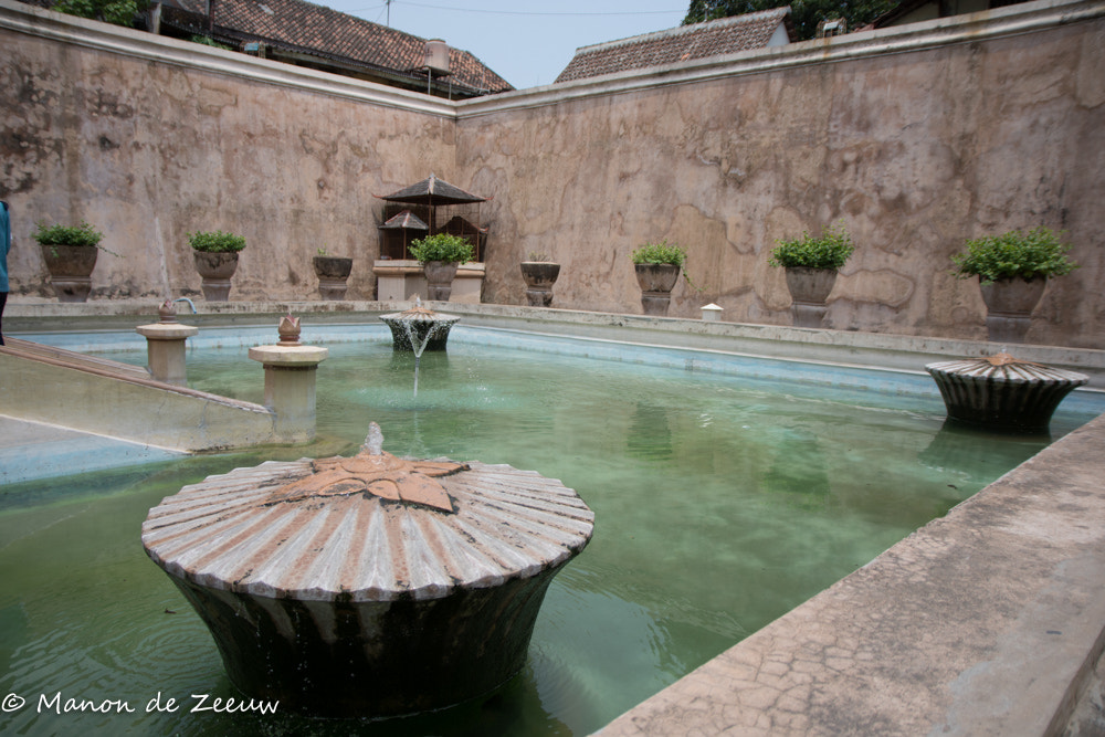 Sigma 17-70mm F2.8-4 DC Macro OS HSM | C sample photo. Waterpalace photography