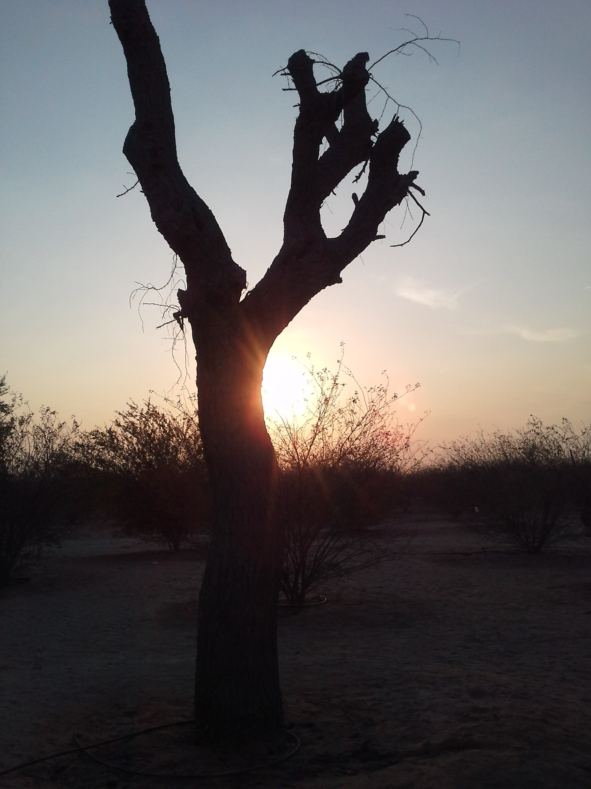 Samsung Galaxy Note 10.1 sample photo. Sunset photography