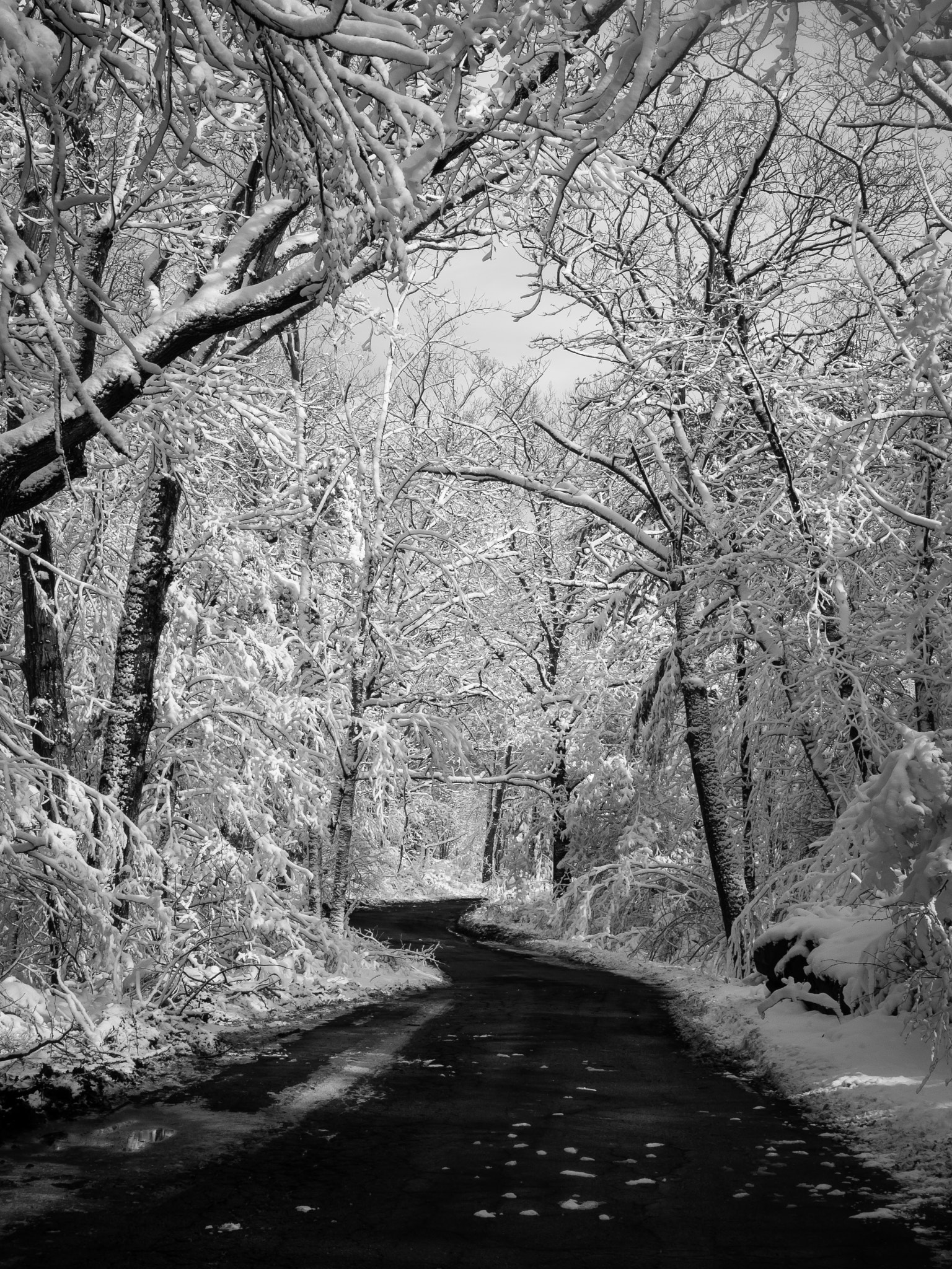 Olympus OM-D E-M1 + Panasonic Leica DG Summilux 25mm F1.4 II ASPH sample photo. Snow day photography