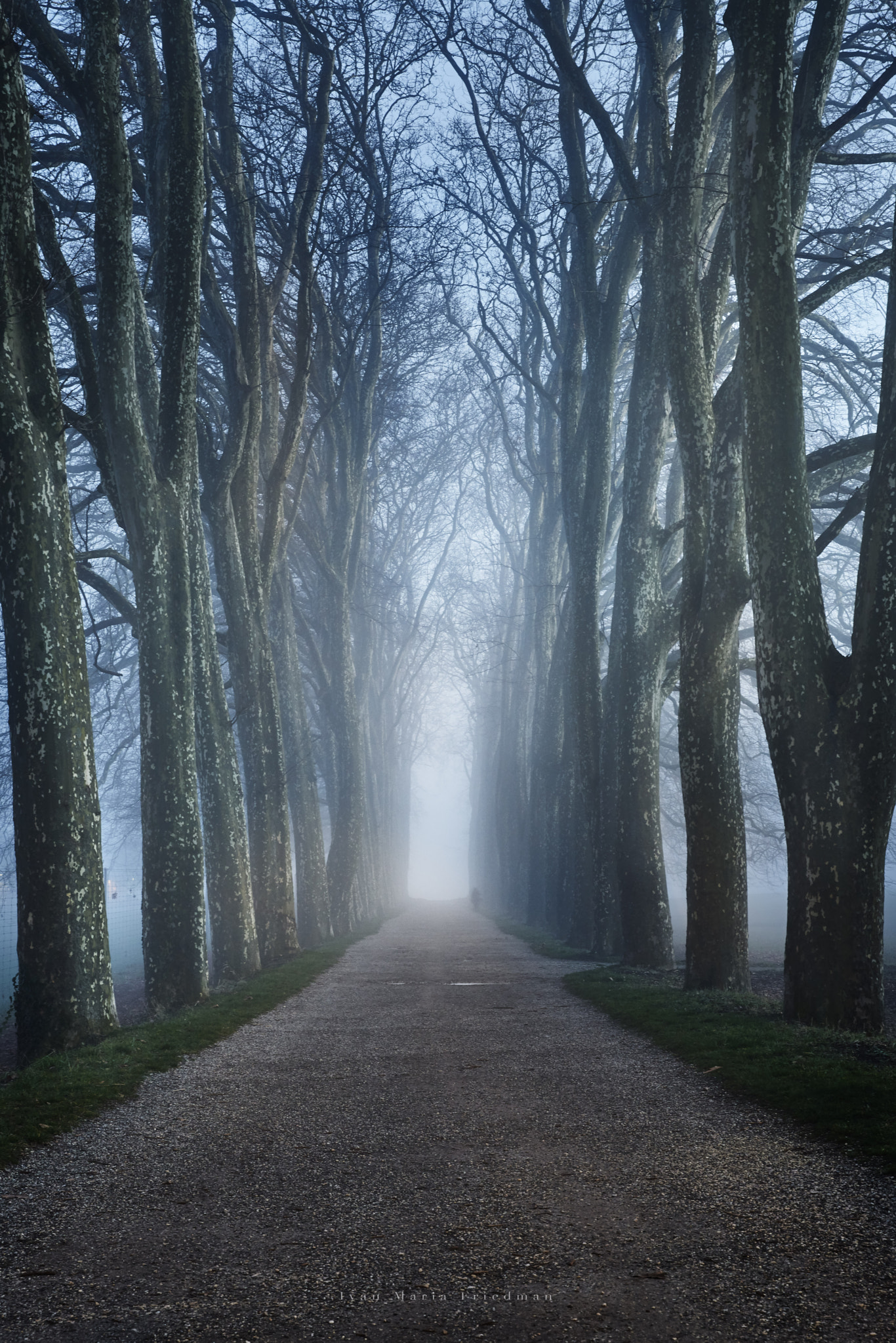 24-70mm F2.8 G SSM II sample photo. Path to freedom photography