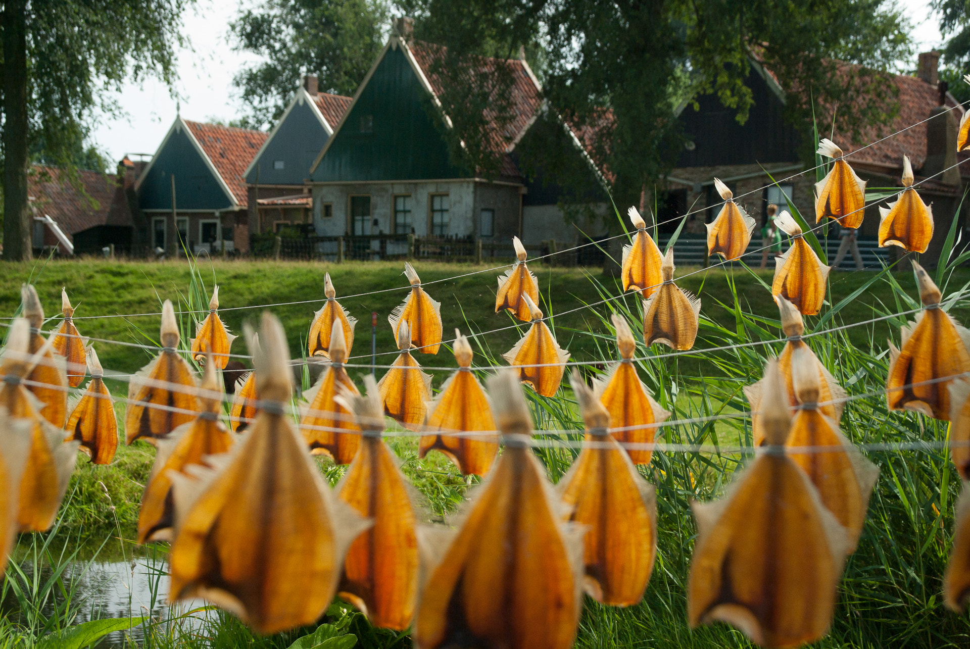 Pentax K10D + PENTAX-F 28-80mm F3.5-4.5 sample photo. Fish drying at the zuiderzee museum. didn't dare to place this in the animals category :-) photography