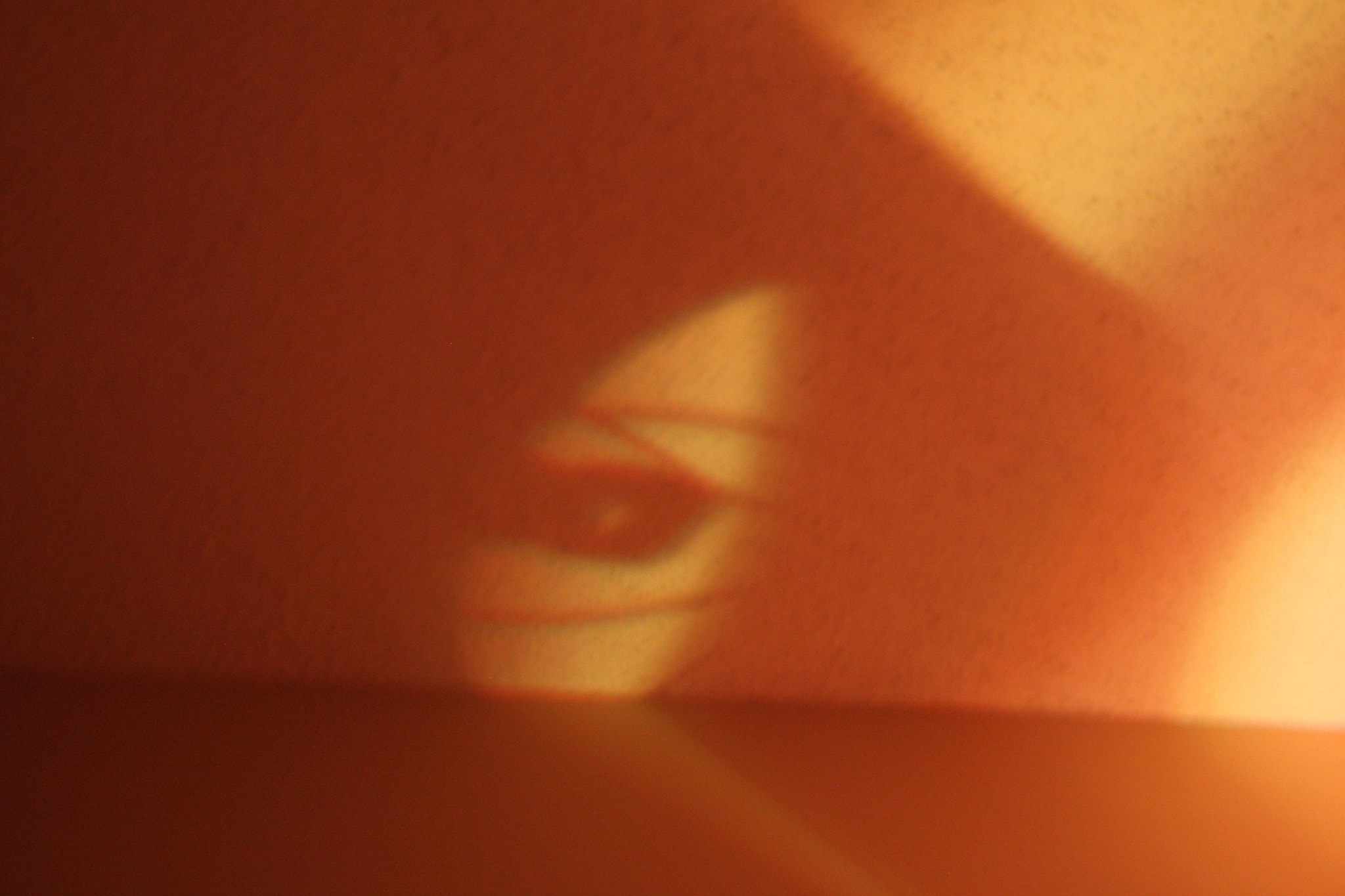 Canon EOS 450D (EOS Rebel XSi / EOS Kiss X2) sample photo. Eye of shadows photography