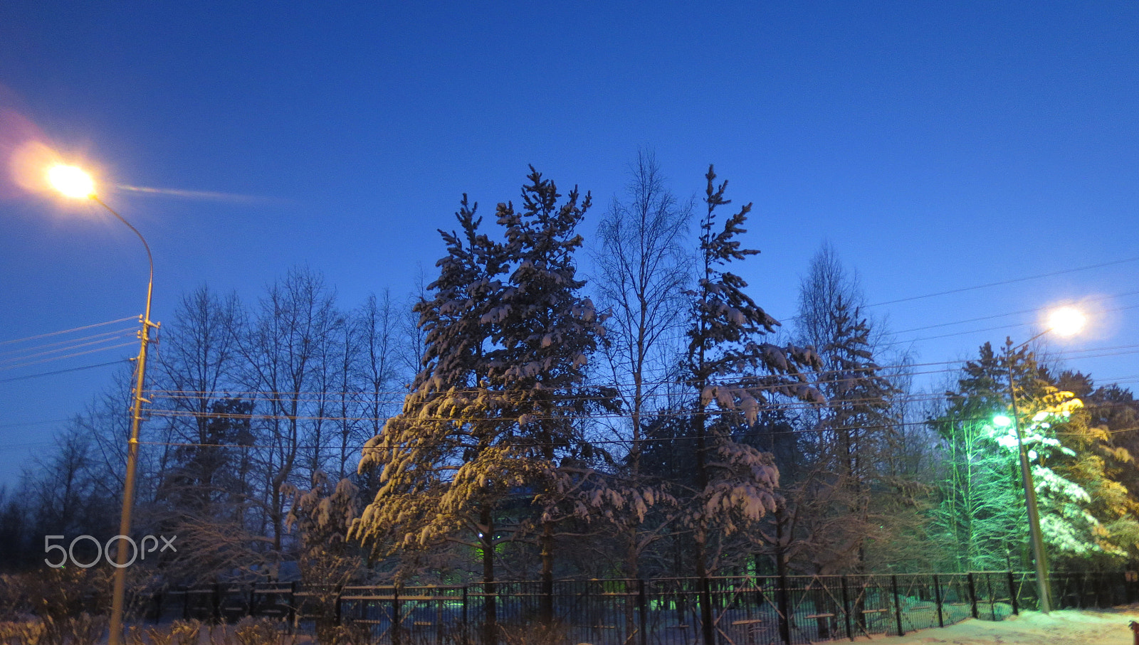 Canon PowerShot ELPH 110HS (PowerShot IXUS 125 HS) sample photo. Winter photography