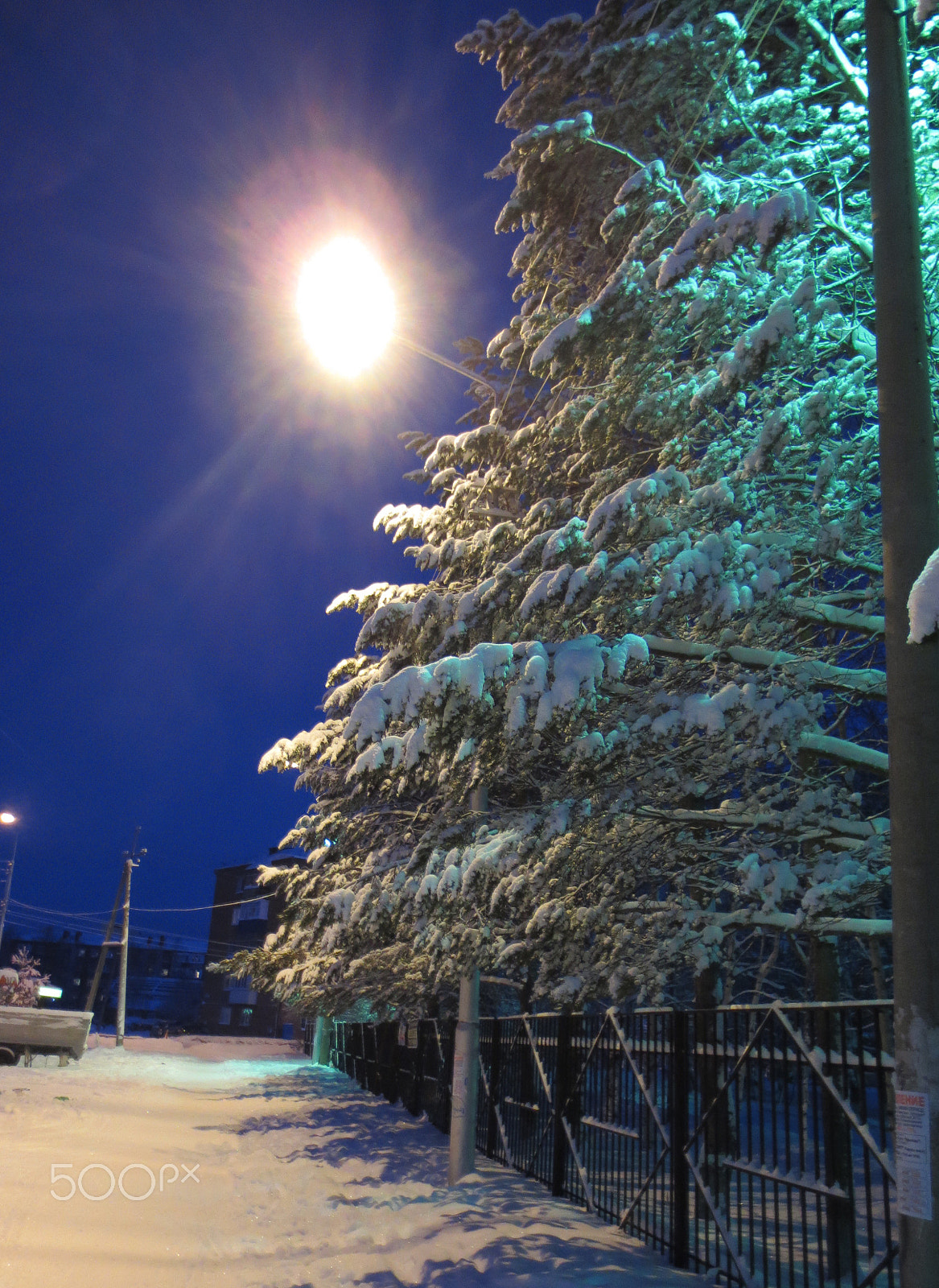 Canon PowerShot ELPH 110HS (PowerShot IXUS 125 HS) sample photo