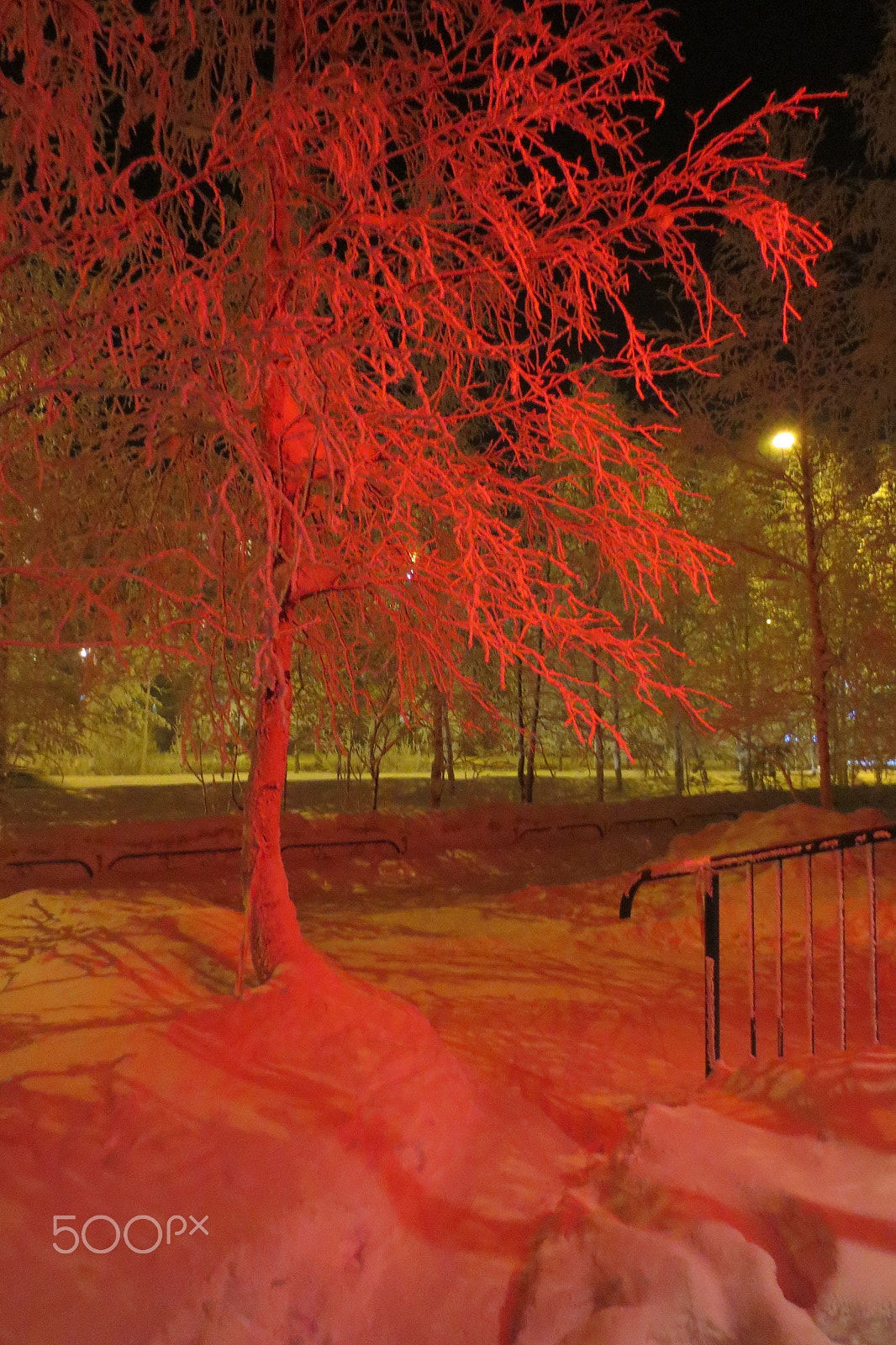 Canon PowerShot ELPH 110HS (PowerShot IXUS 125 HS) sample photo. Snow snow snow photography