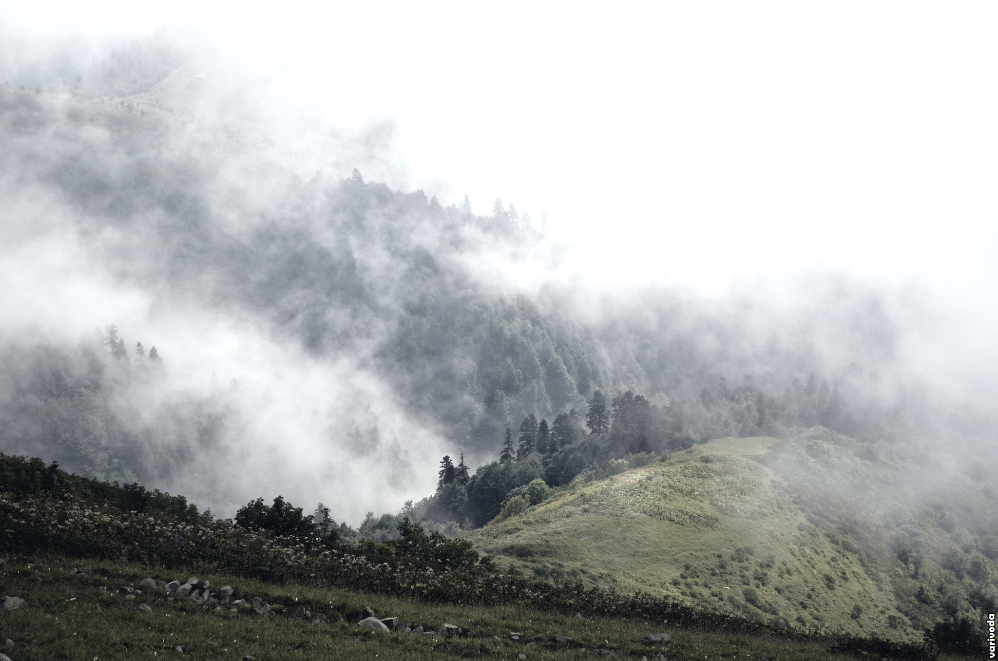 AF Zoom-Nikkor 35-70mm f/3.3-4.5 N sample photo. Gray mountains.jpg photography