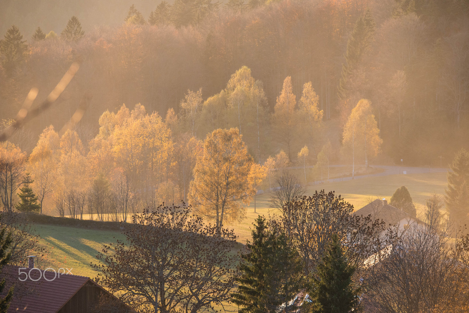Sigma 150-600mm F5-6.3 DG OS HSM | C sample photo. Bavaria photography