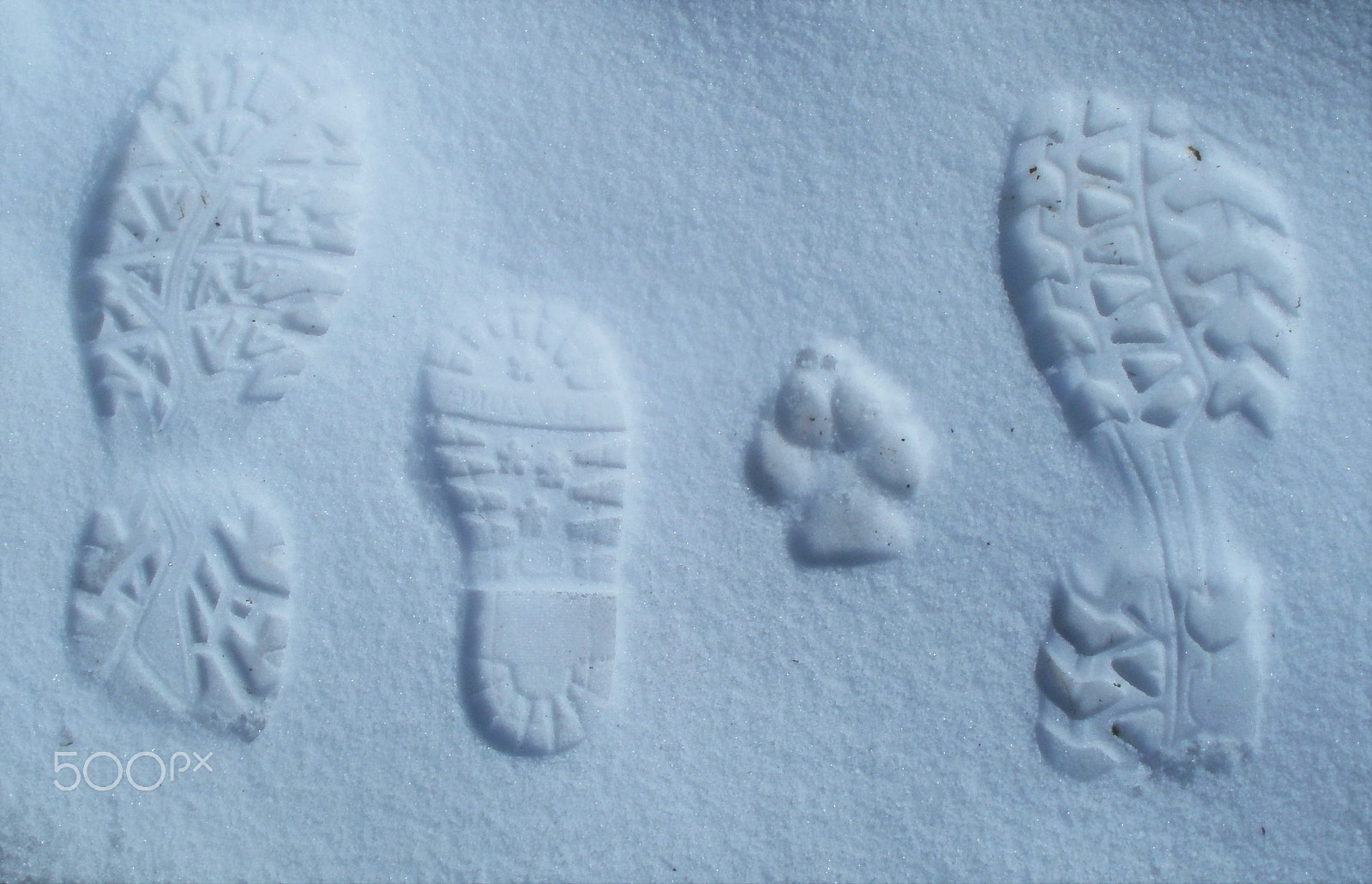 Olympus FE47,X43 sample photo. Pegadas na neve photography