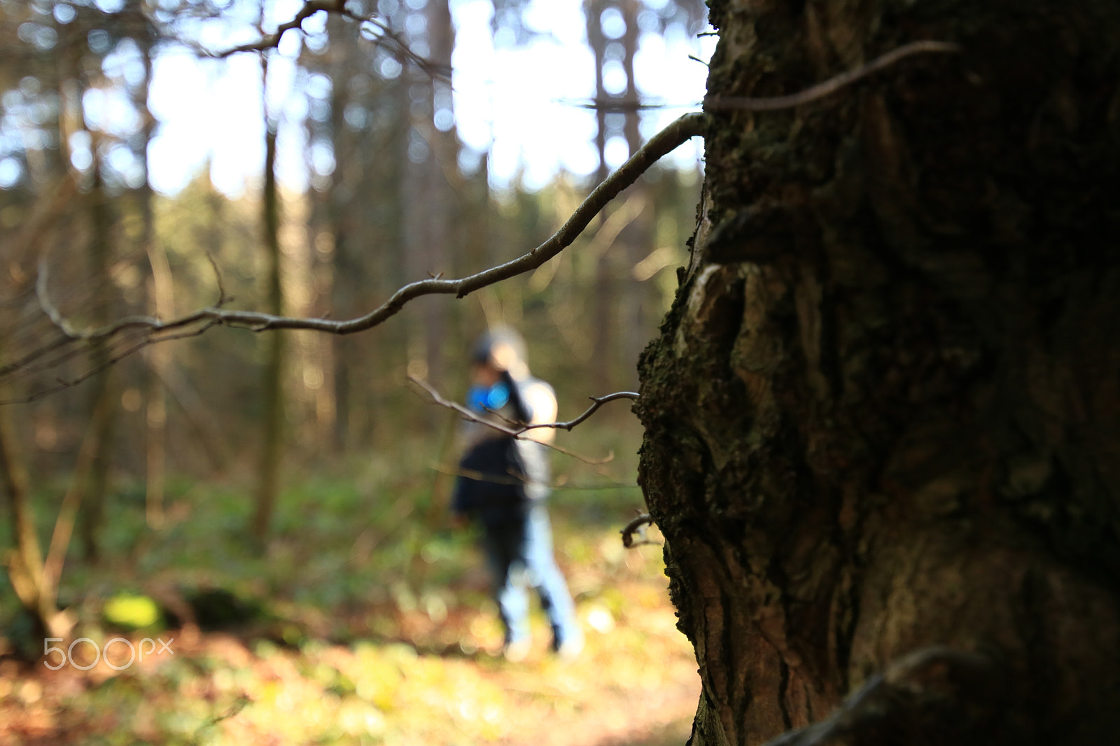 Canon EOS 750D (EOS Rebel T6i / EOS Kiss X8i) + Canon EF 300mm f/2.8L sample photo. In the wood5 photography