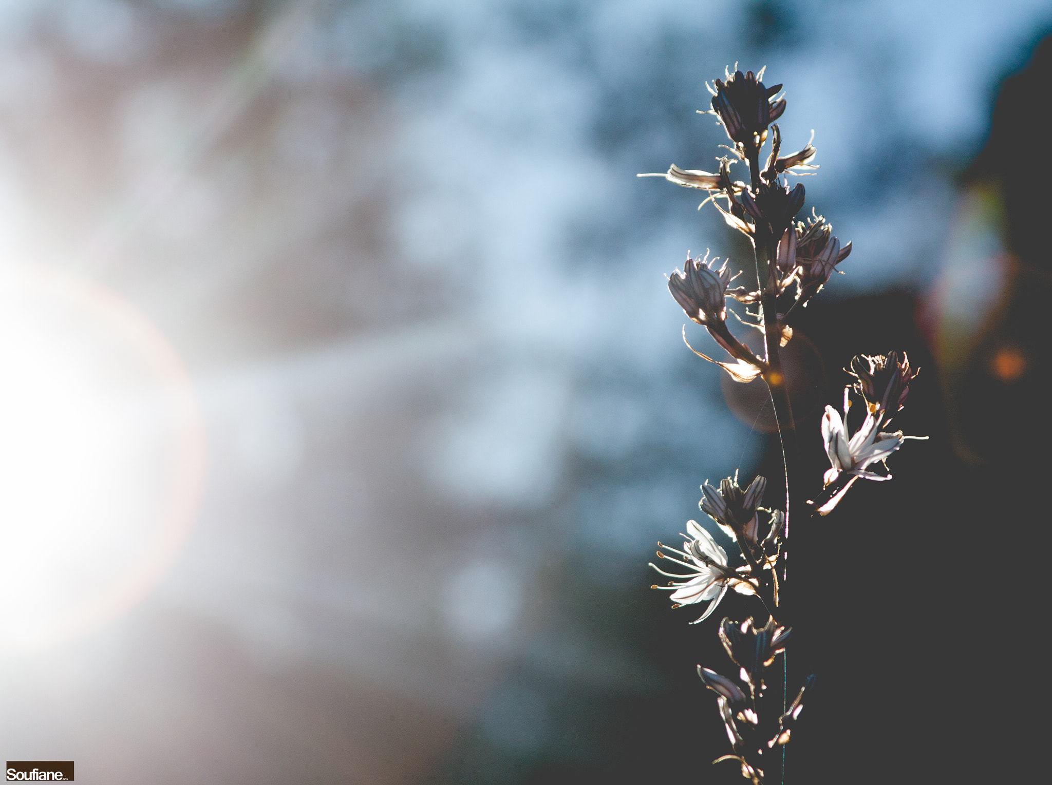 Canon EF 28-105mm f/3.5-4.5 USM sample photo. Follow the sunlight rays ! photography