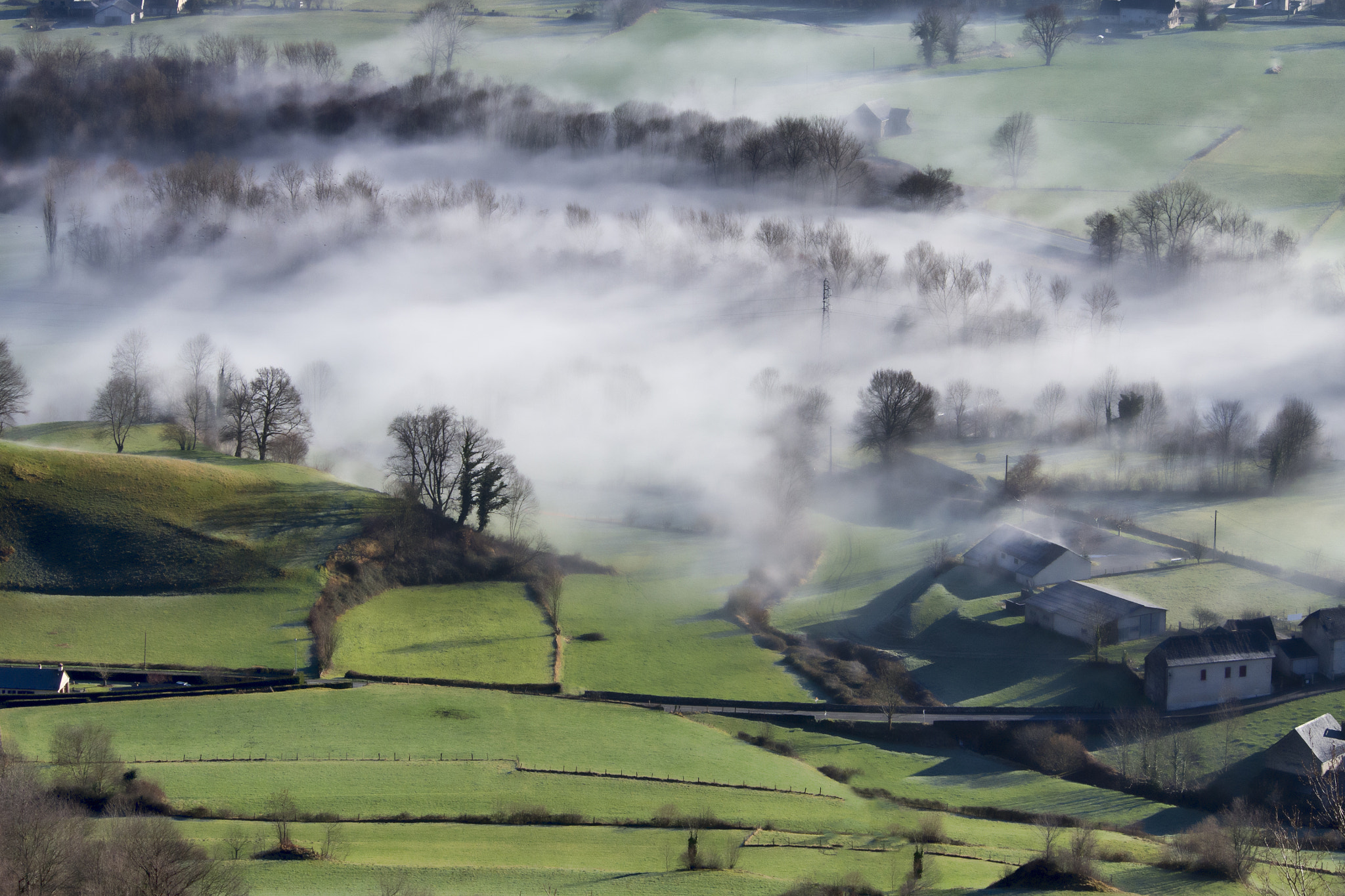 Olympus OM-D E-M5 sample photo. Morning mist  aspe valley photography