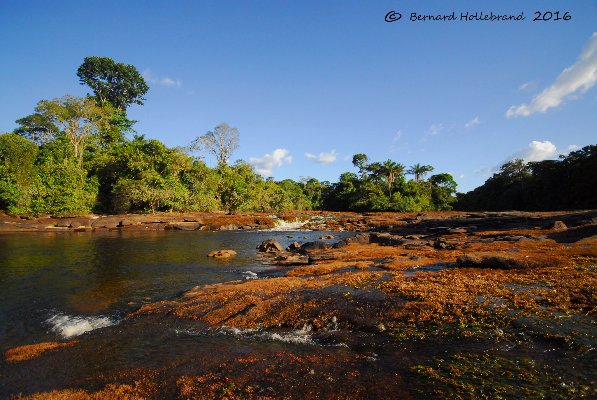 Sigma 10-20mm F4-5.6 EX DC HSM sample photo. Somewhere in suriname photography