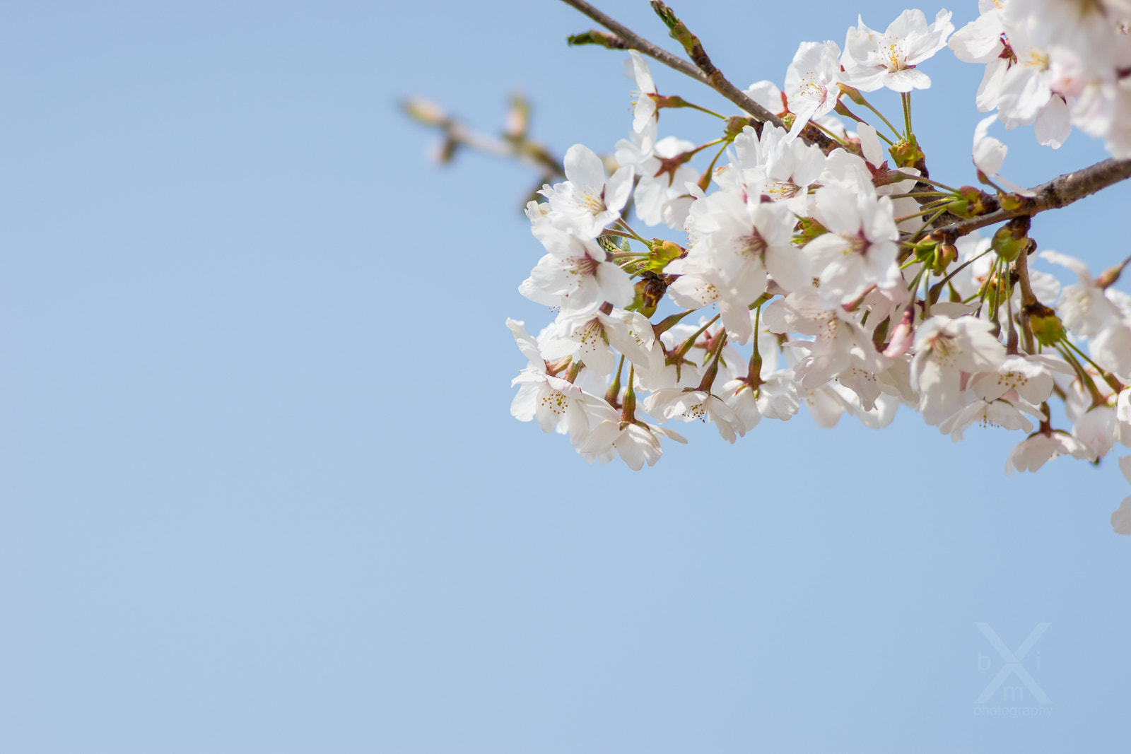 Sony 135mm F2.8 [T4.5] STF sample photo. White on blue photography