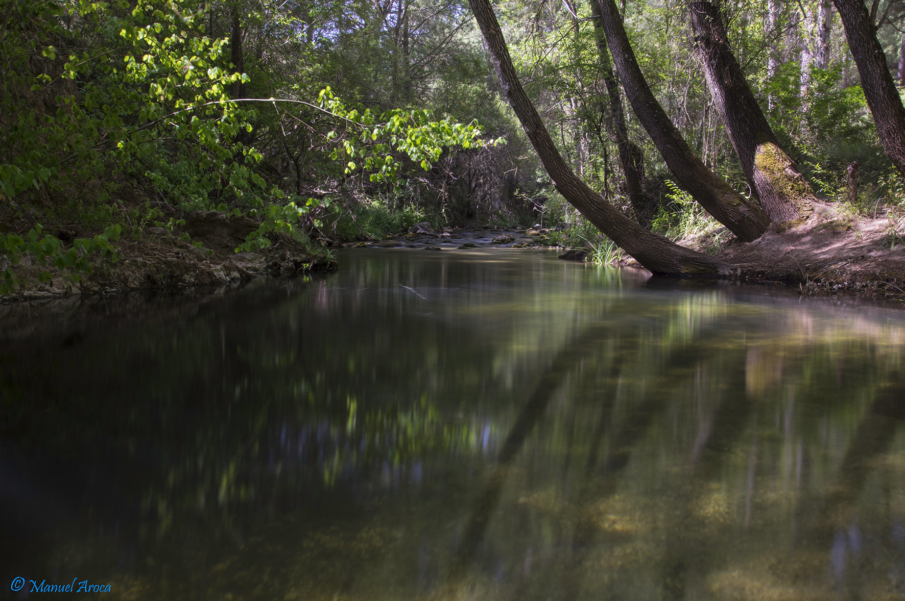 Pentax K-3 sample photo. Reflejos photography