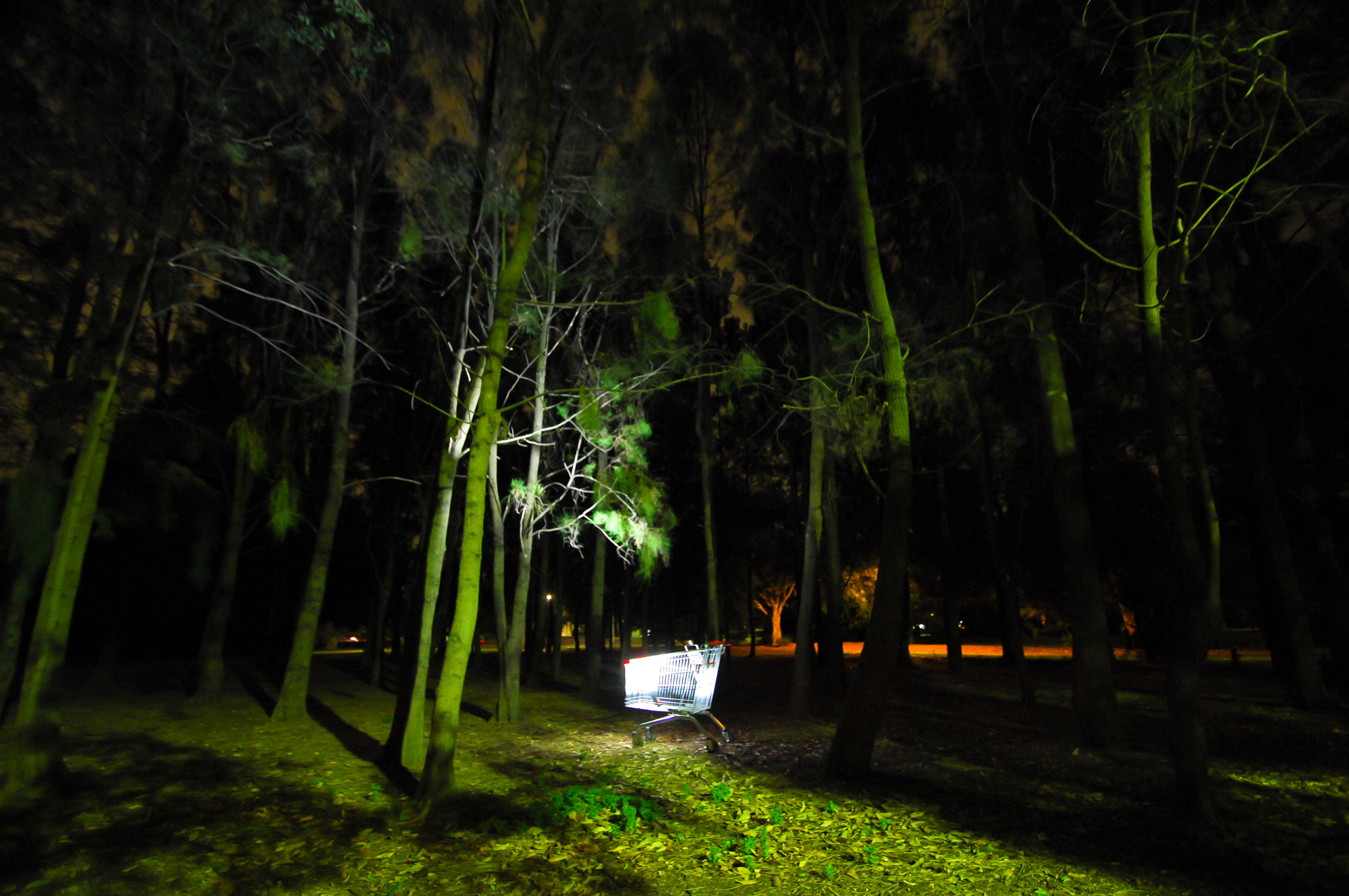 Nikon D2X sample photo. The haunting photography