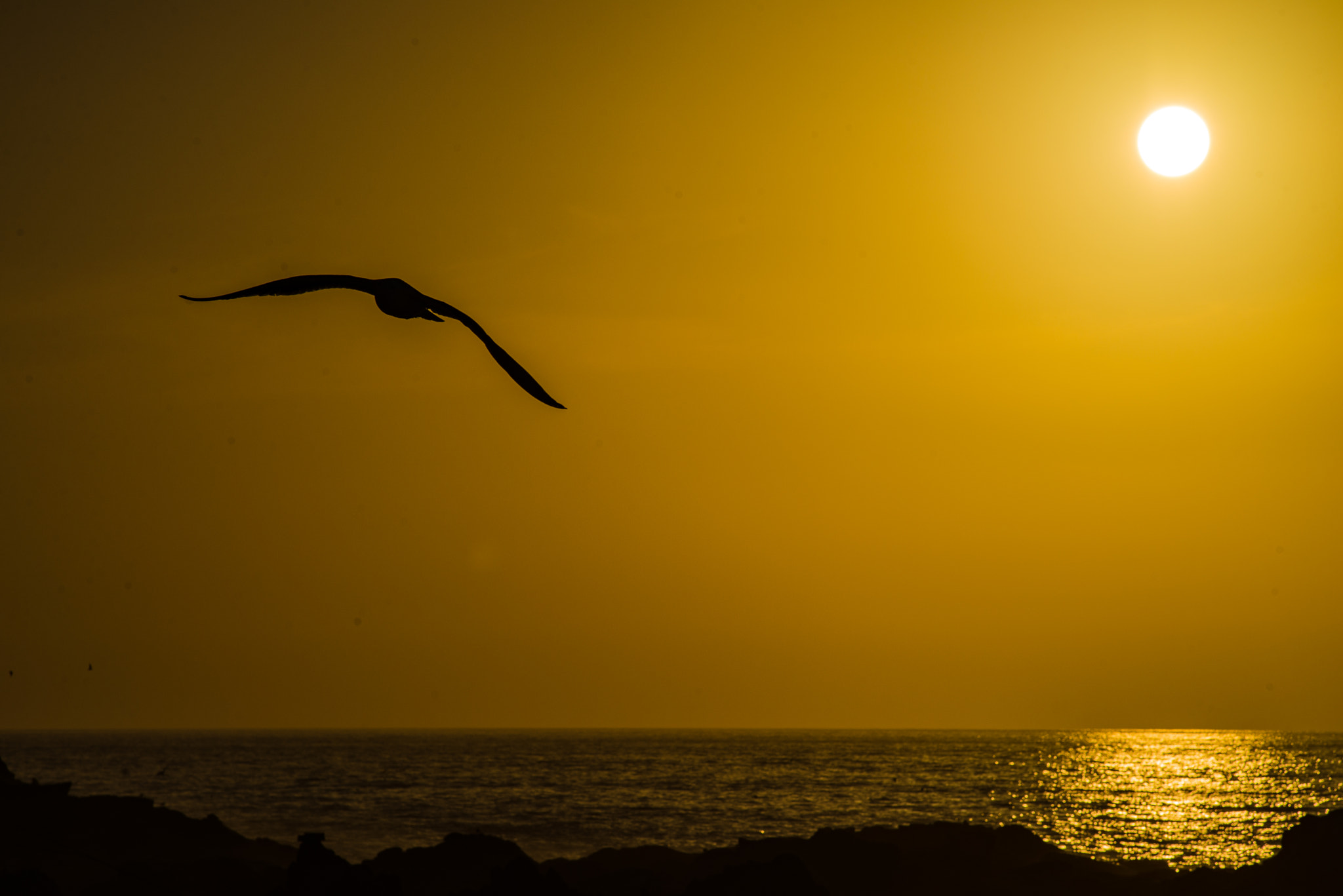 Nikon D610 + AF Nikkor 180mm f/2.8 IF-ED sample photo. Chile 2016 photography