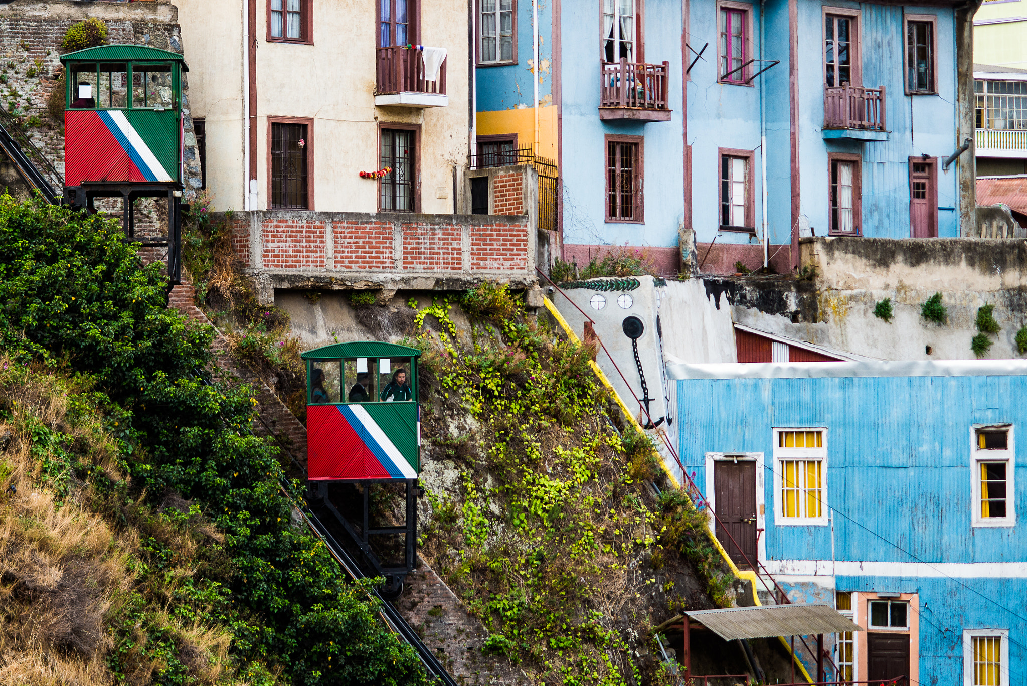 Nikon D610 + AF Micro-Nikkor 105mm f/2.8 sample photo. Chile 2016 photography