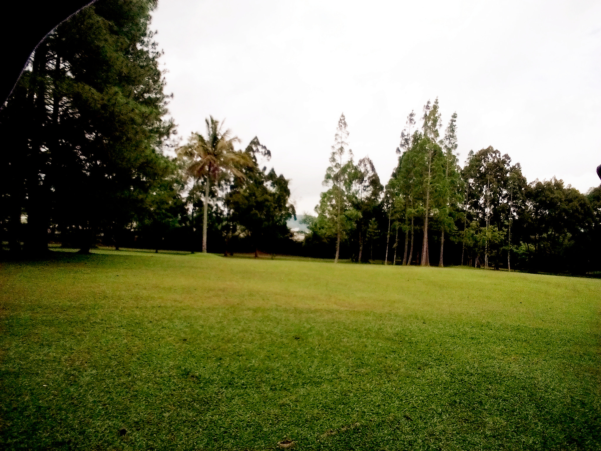 vivo Y28 sample photo. Taman bunga nusantara photography