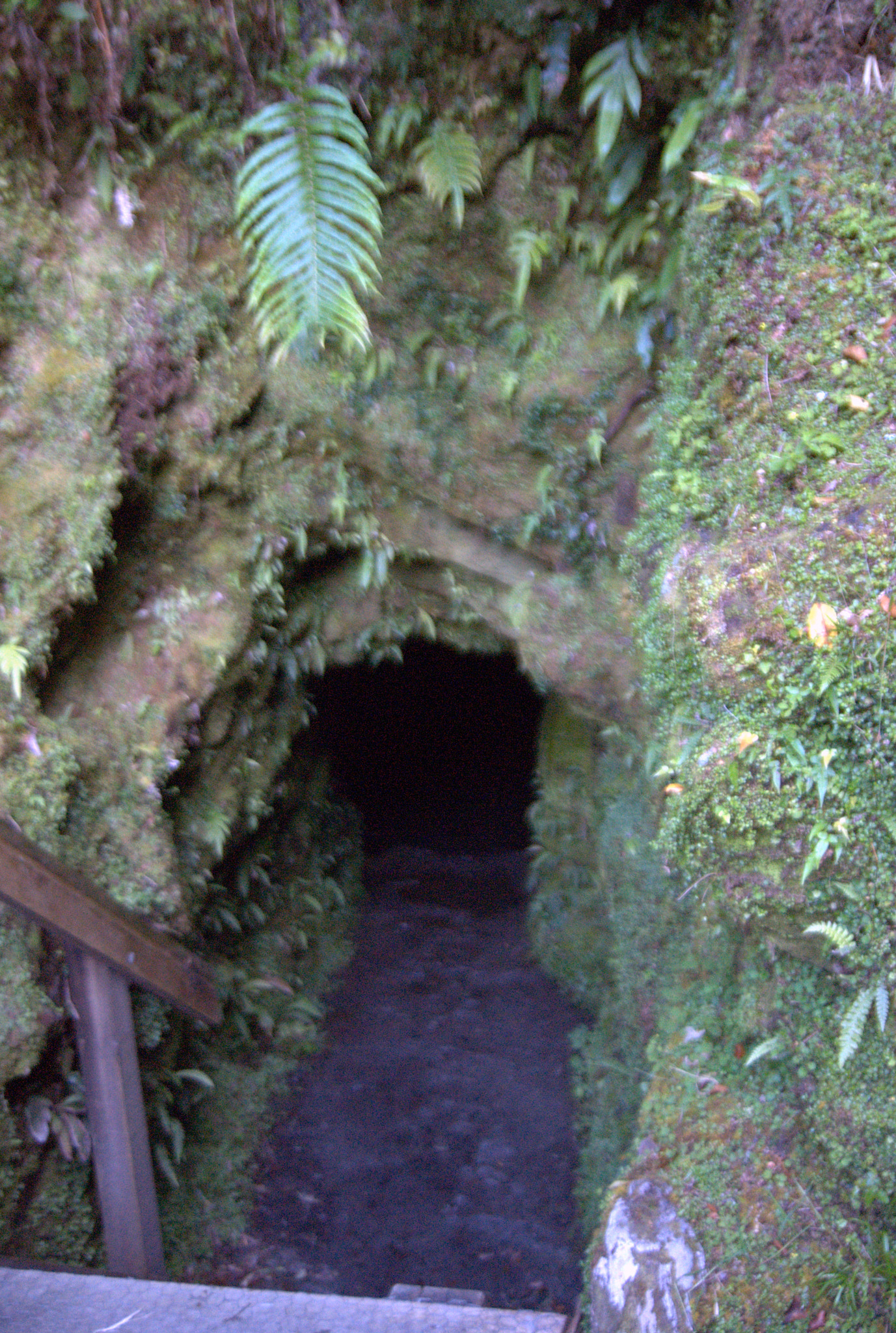 Sony Alpha DSLR-A300 sample photo. Entrance to the cave. mind your head. photography