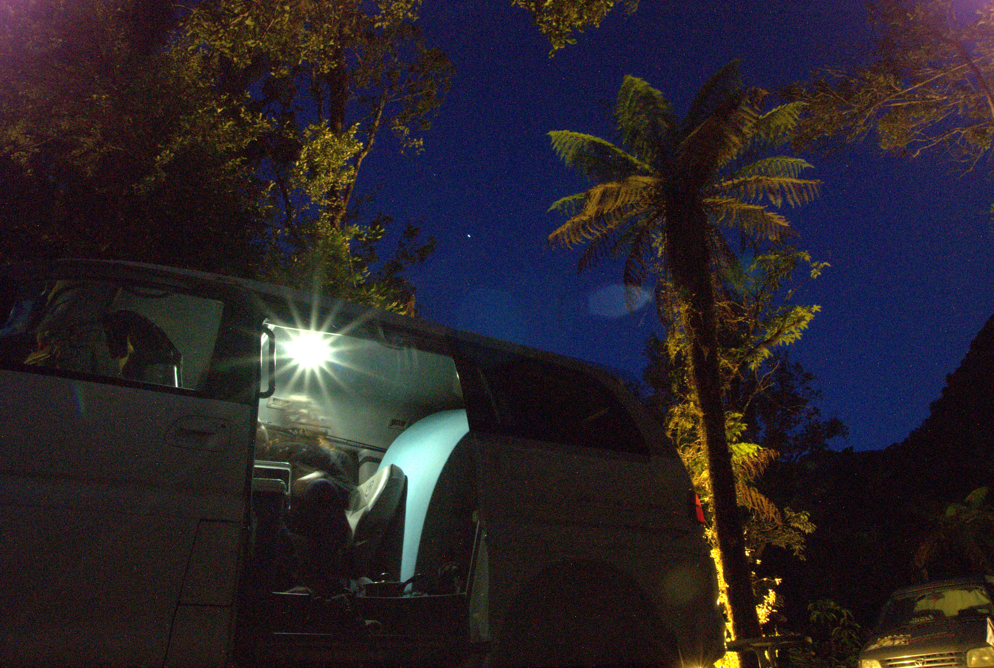 Sony Alpha DSLR-A300 sample photo. Rainforest retreat photography