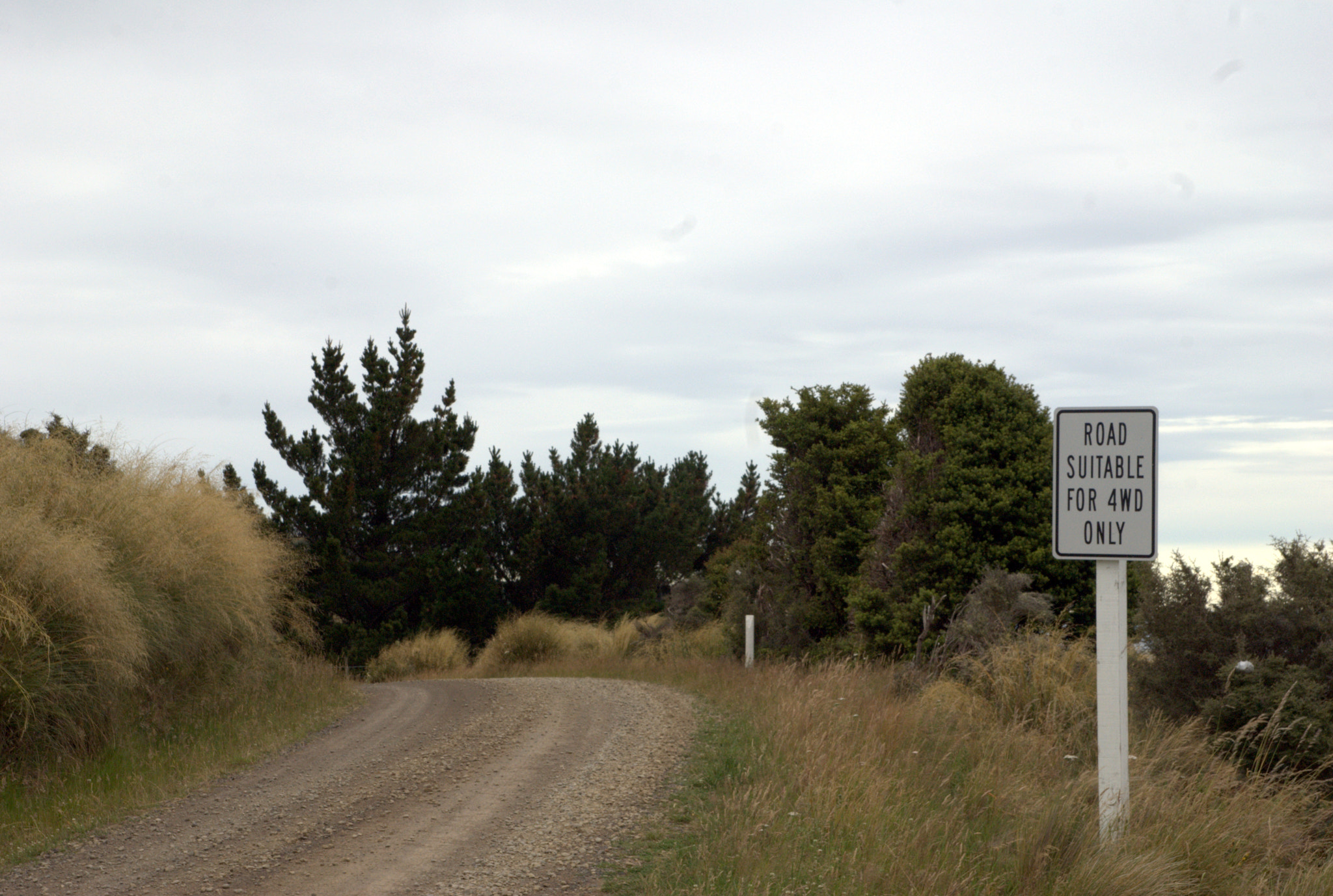 Sony Alpha DSLR-A300 sample photo. 4wd only photography