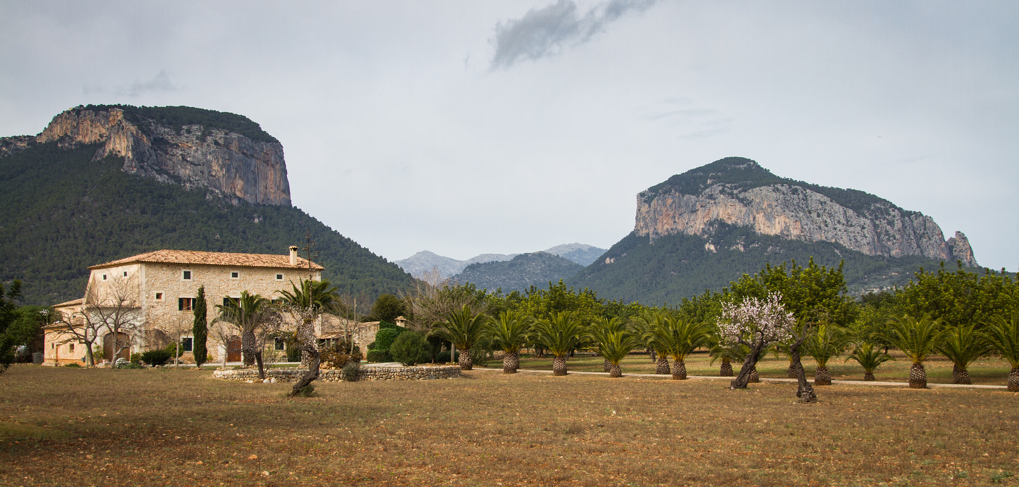 Sigma 24-105mm f/4 DG OS HSM | A sample photo. Alaró - mallorca photography