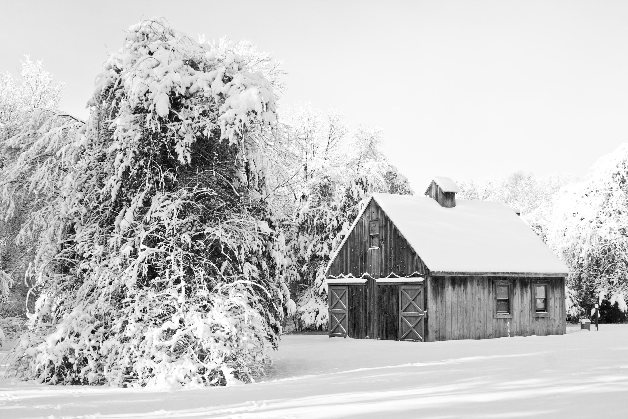 Canon EOS 400D (EOS Digital Rebel XTi / EOS Kiss Digital X) sample photo. Snowy barn photography