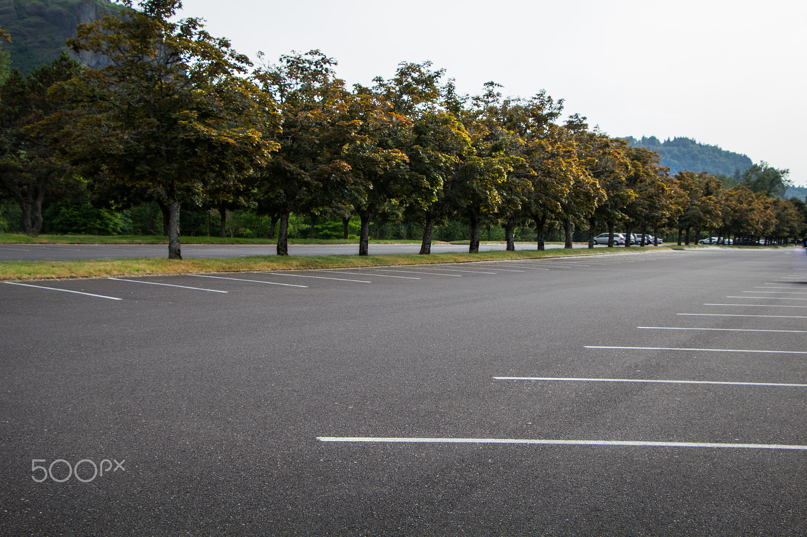 Canon EOS 100D (EOS Rebel SL1 / EOS Kiss X7) sample photo. Row of fall trees in empty parking area. photography