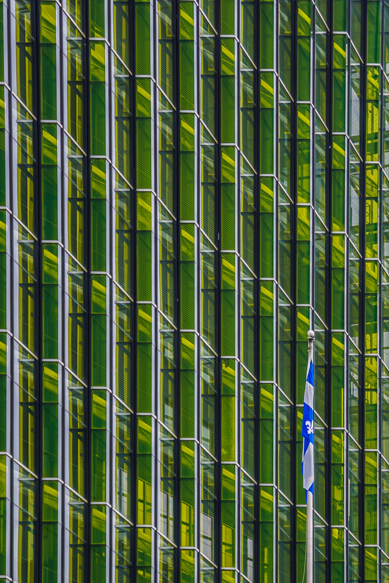 Sony a6000 + Sony FE 24-240mm F3.5-6.3 OSS sample photo. Windows 95 photography