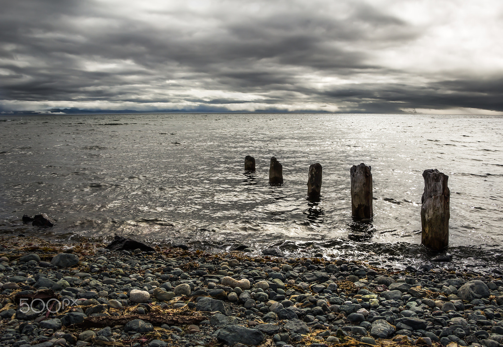Canon EOS 100D (EOS Rebel SL1 / EOS Kiss X7) sample photo. Grey summer day on the strait of juan de fuca photography