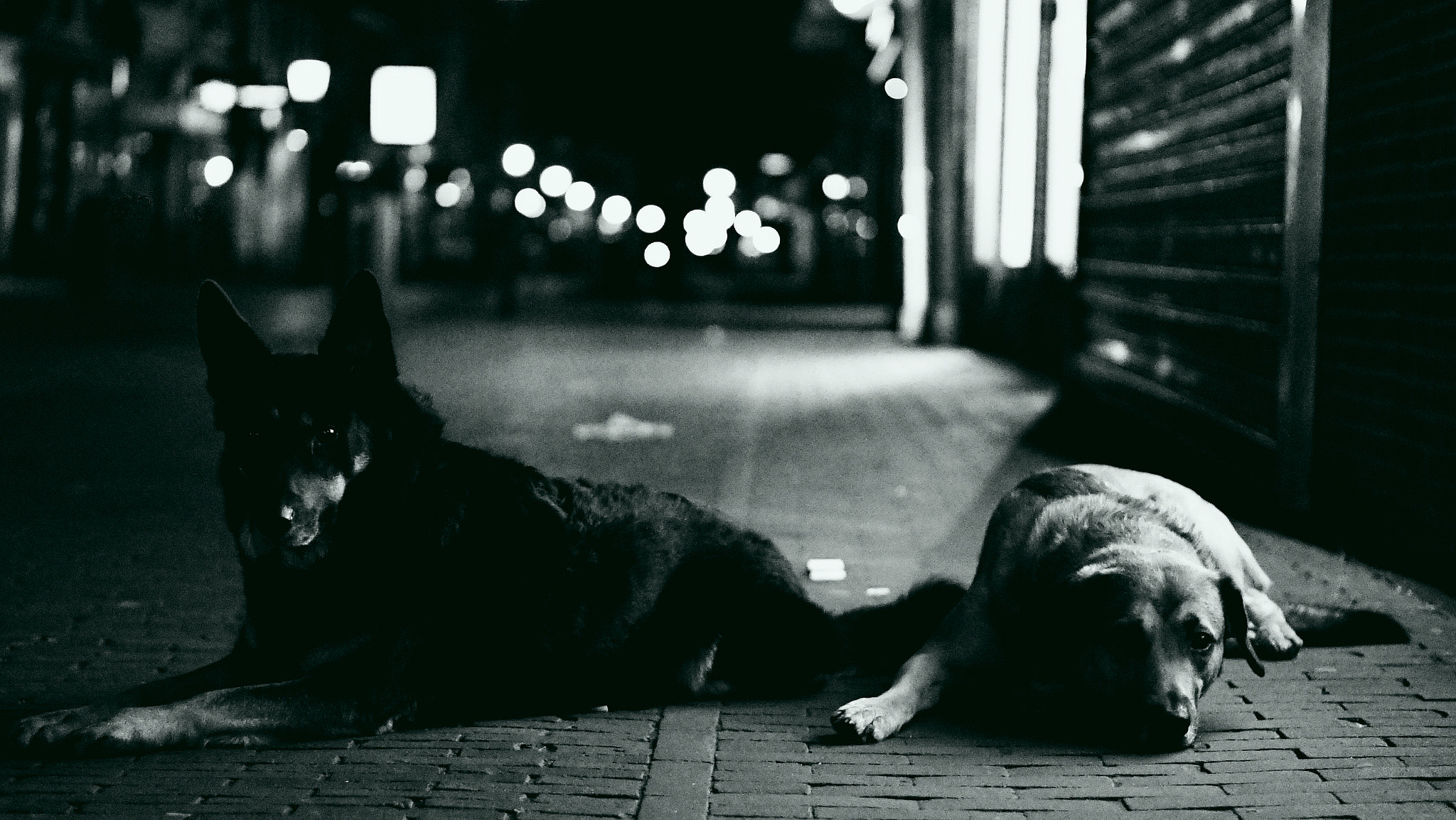 Sony E 50mm F1.8 OSS sample photo. Let's all be aware :) photography