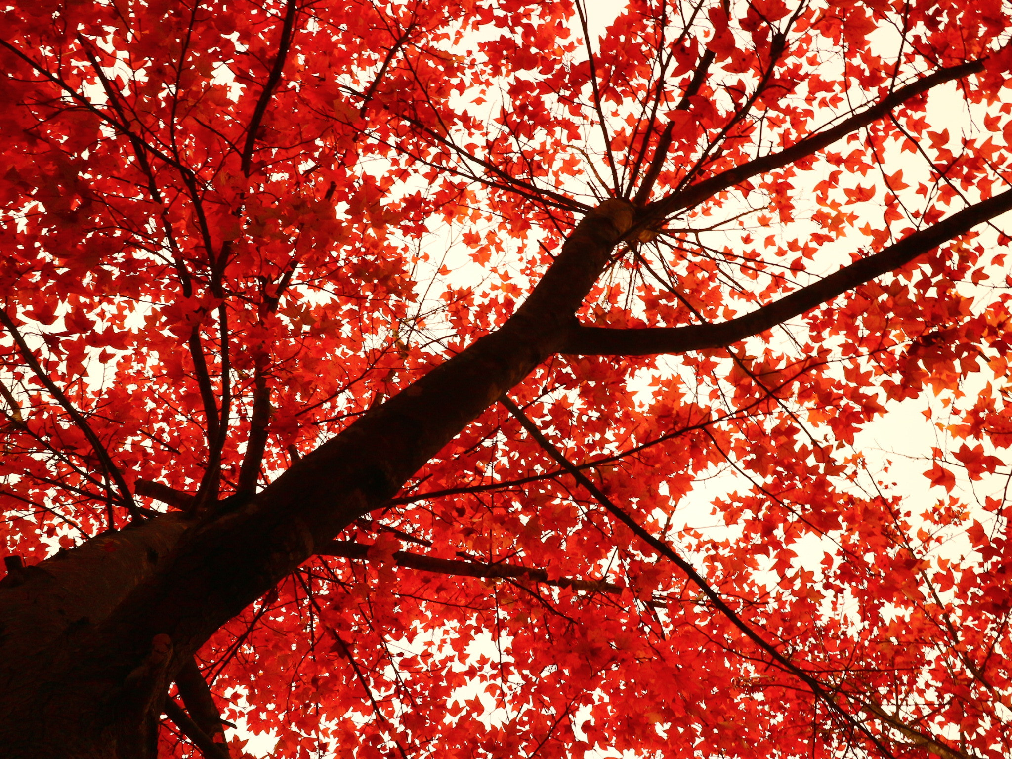 Canon EOS M10 + Canon EF-M 22mm F2 STM sample photo
