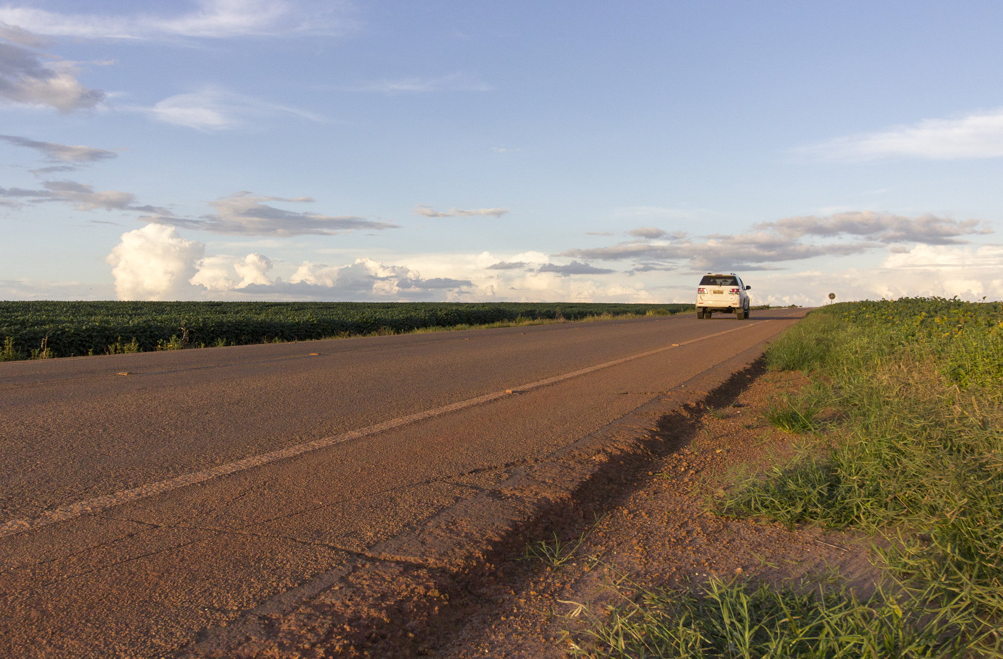 Canon EF-S 10-18mm F4.5–5.6 IS STM sample photo. Soybean fields photography