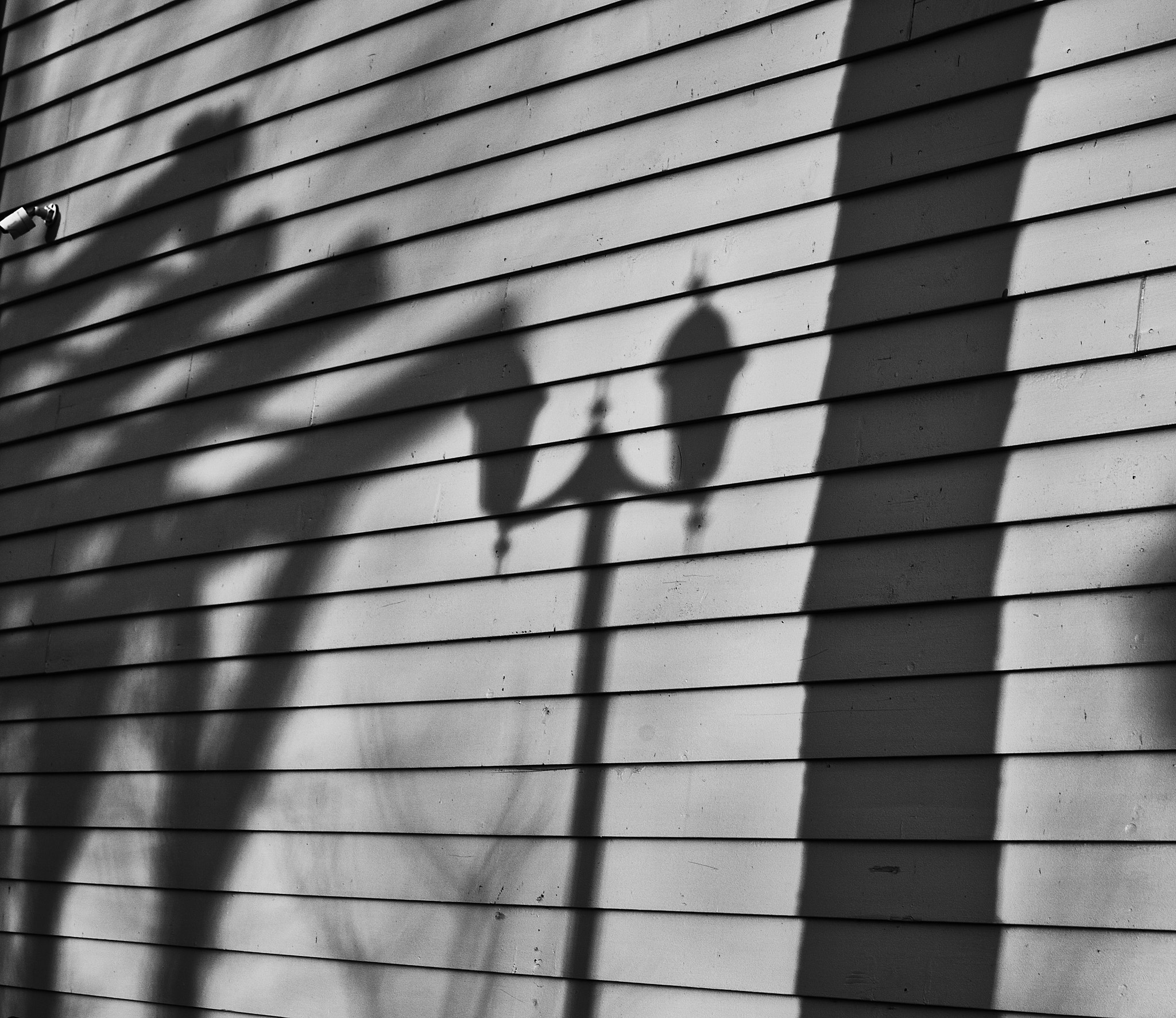 Nikon AF-S Micro-Nikkor 60mm F2.8G ED sample photo. Shadow-play photography