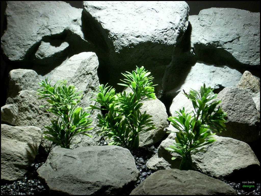 Nikon COOLPIX L11 sample photo. Plastic aquarium plants mini leaf bush's from ron beck designs photography