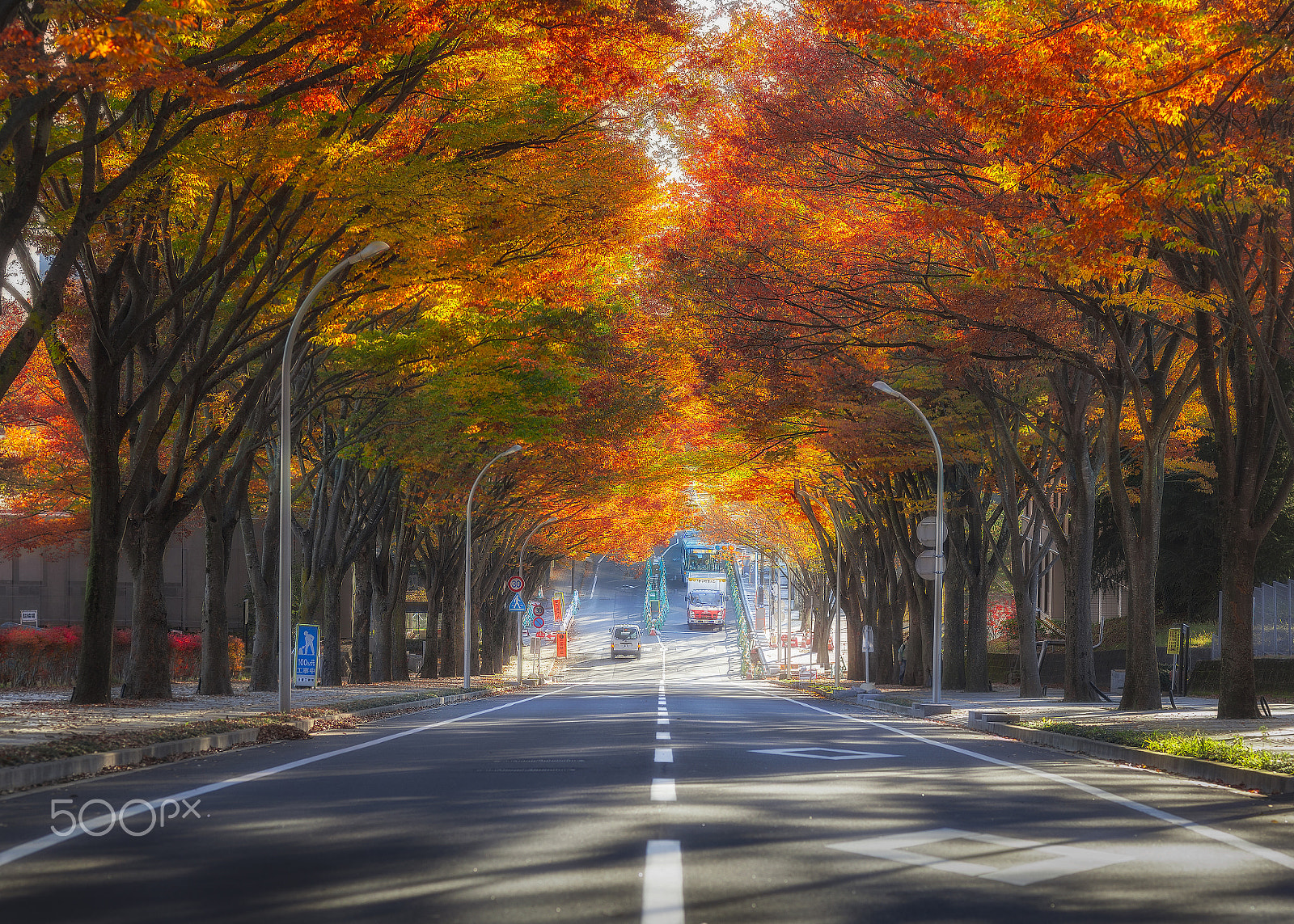 ZEISS Makro-Planar T* 100mm F2 sample photo. Autumn road photography