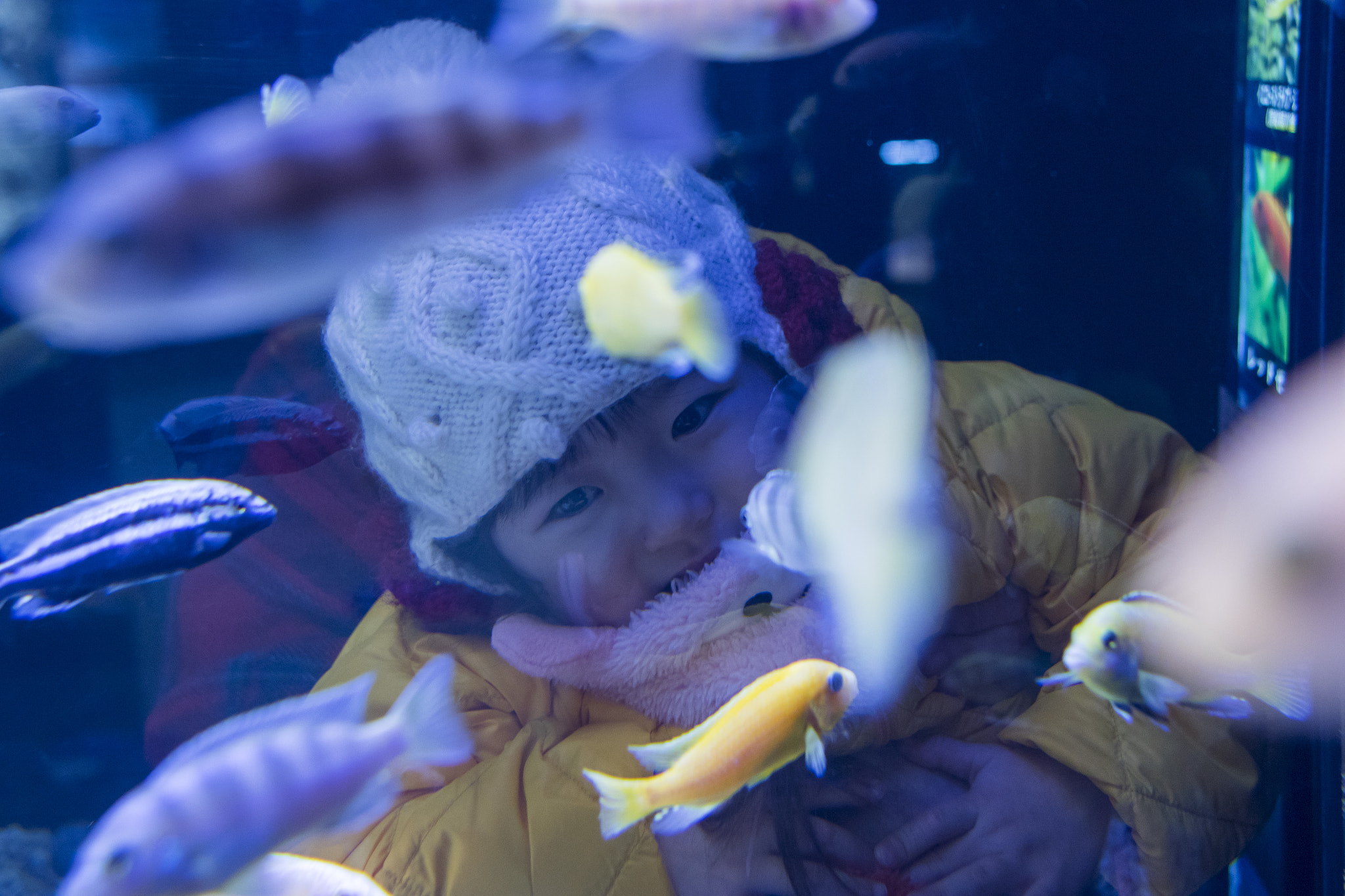 Canon EF 28mm F1.8 USM sample photo. Family and to the aquarium photography