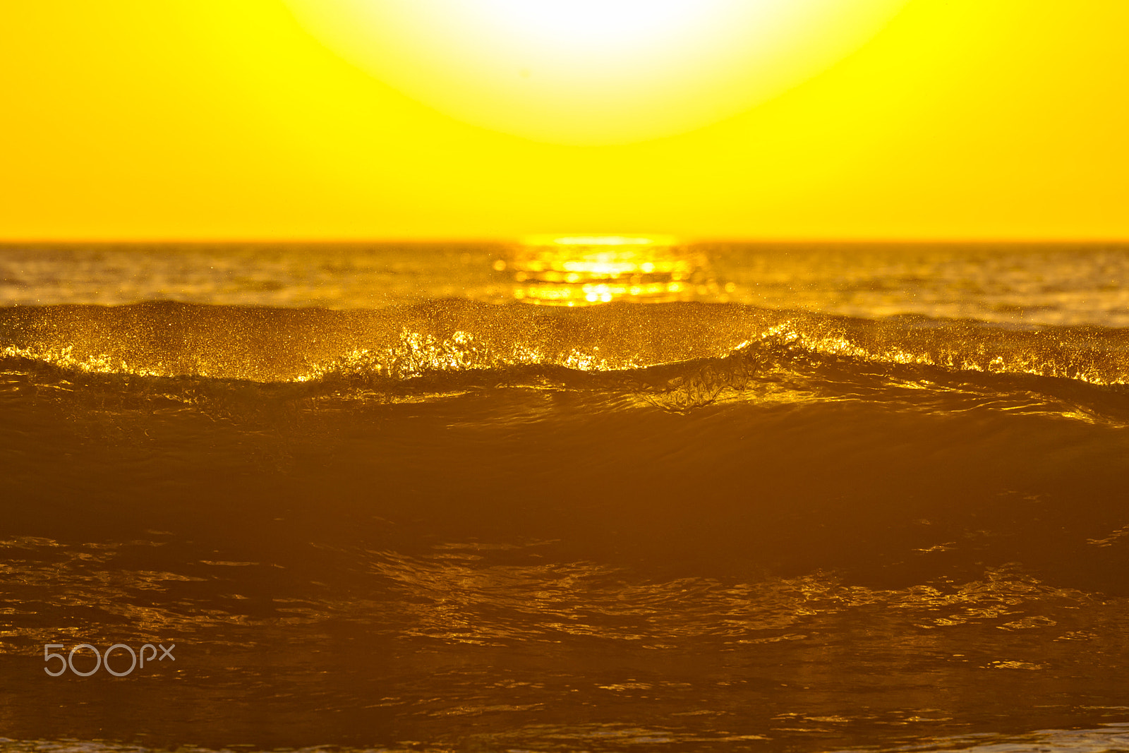 Nikon D3S sample photo. Liquid gold  in oceanside photography