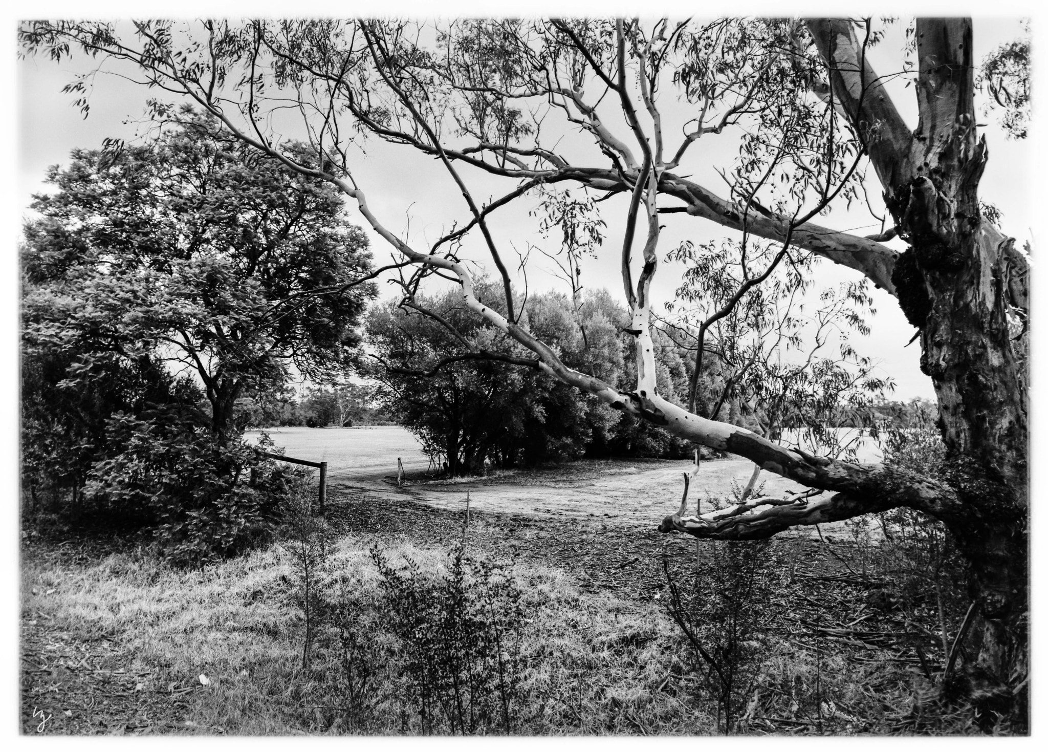 Canon EF 35-80mm f/4-5.6 sample photo. Paddock photography