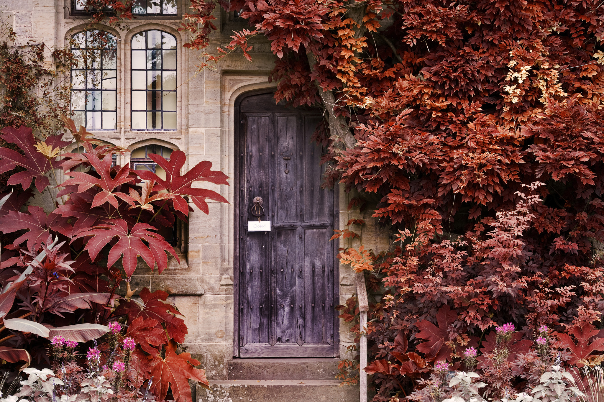 Nikon D700 + Sigma 105mm F2.8 EX DG Macro sample photo. Old wooden door of stone house with alternate surreal colored la photography