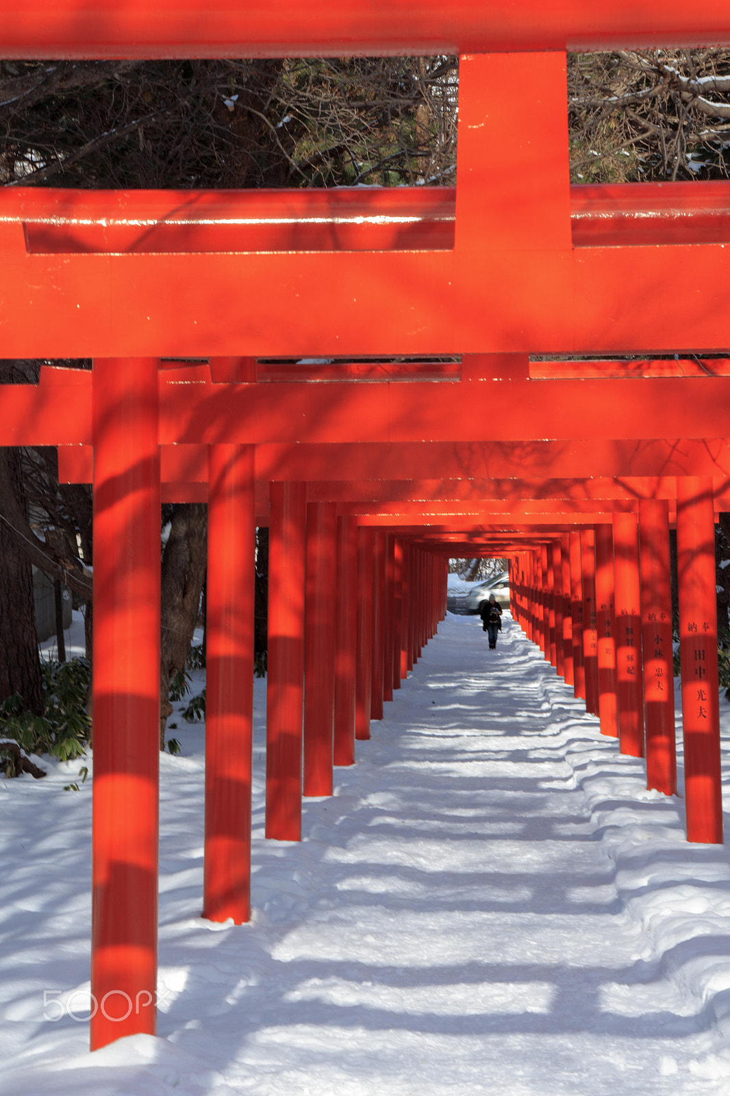 Canon EOS 650D (EOS Rebel T4i / EOS Kiss X6i) sample photo. 札幌伏見稲荷神社 photography