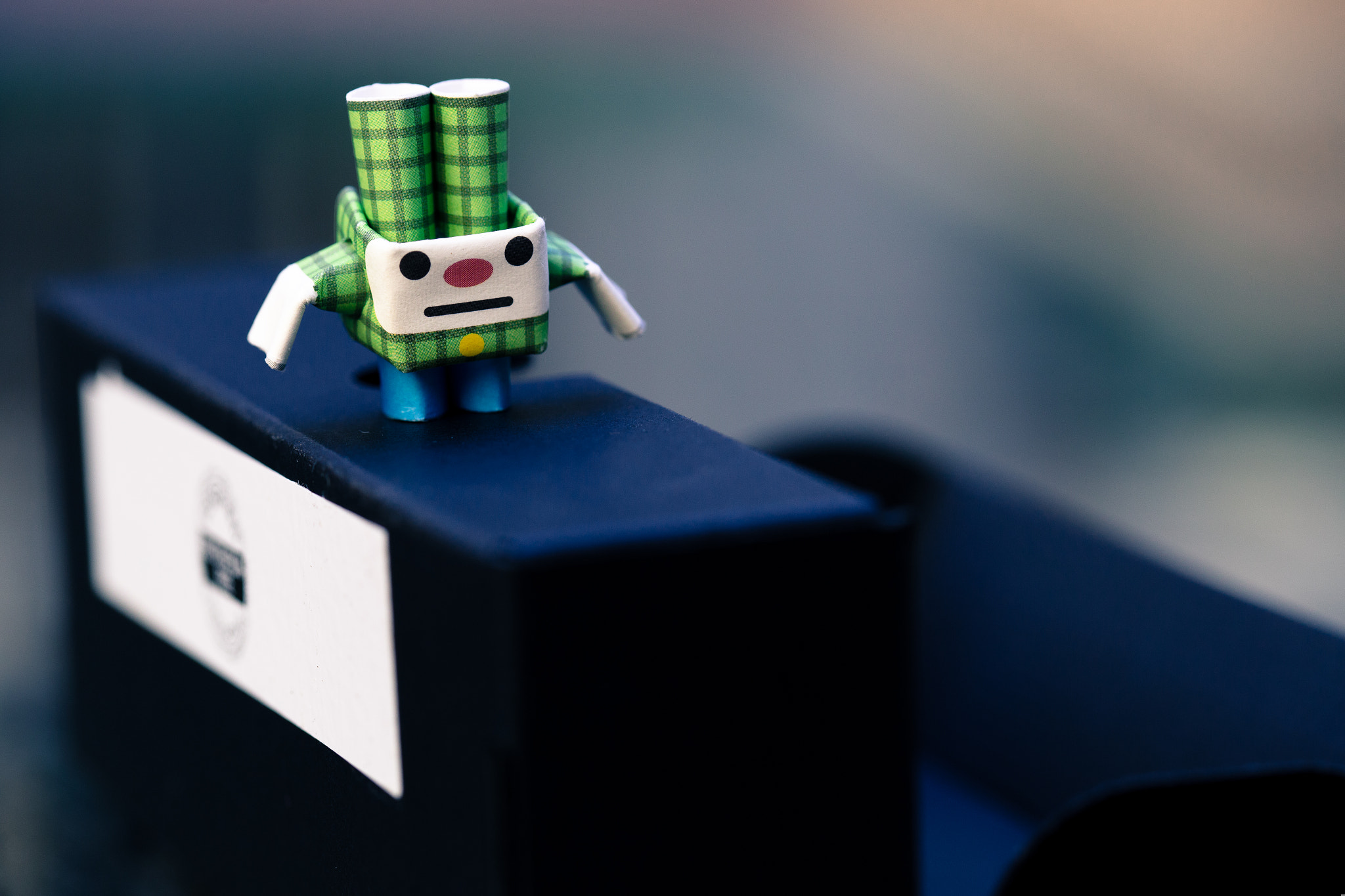 Canon EOS 6D + Canon EF 100mm F2.8 Macro USM sample photo. Piperoid photography