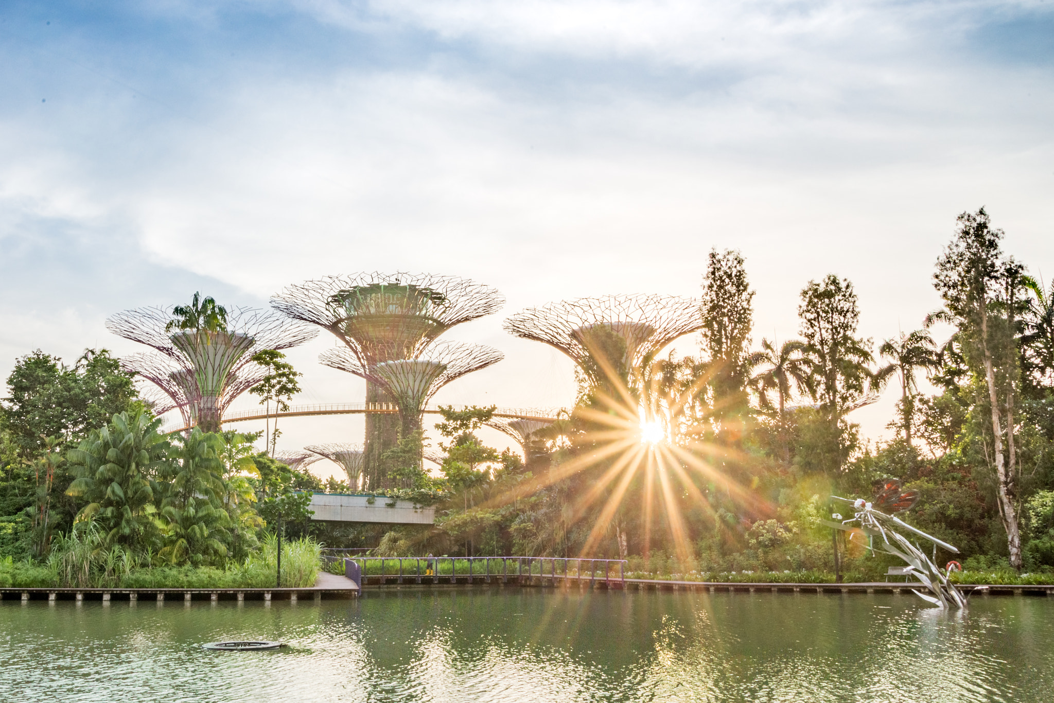Canon EOS 6D + Canon EF 500mm F4L IS USM sample photo. Supertree grove, gardens by the bay photography