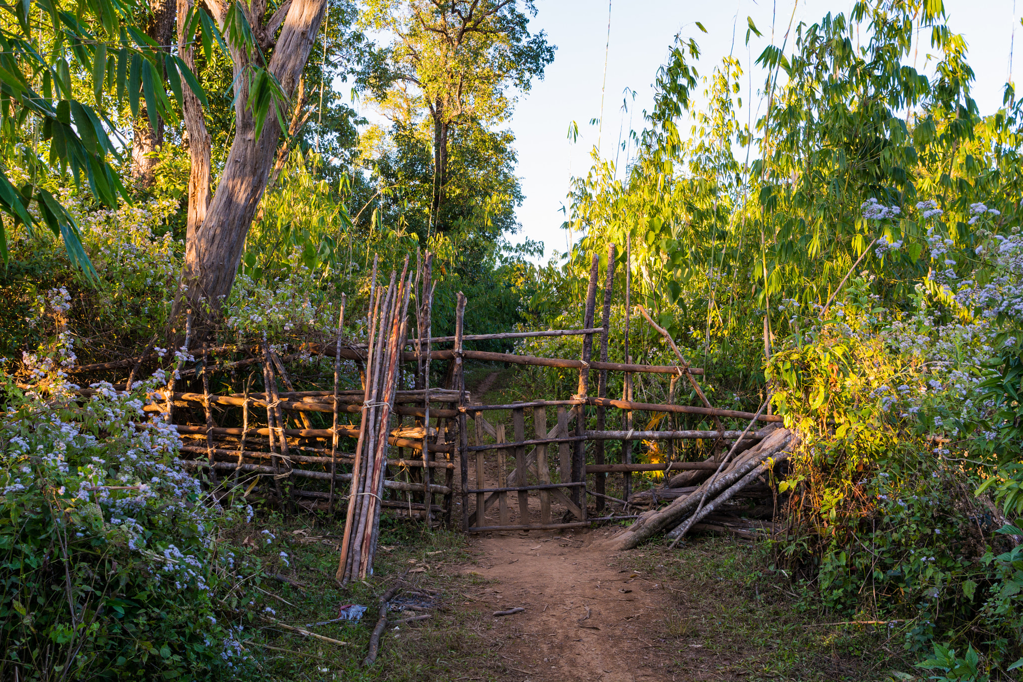 Nikon AF-S Nikkor 24-70mm F2.8E ED VR sample photo. Gate to the shire photography