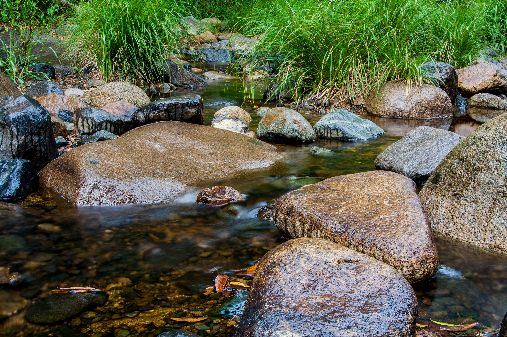 Tamron AF 28-200mm F3.8-5.6 XR Di Aspherical (IF) Macro sample photo. Cedar creek flow photography