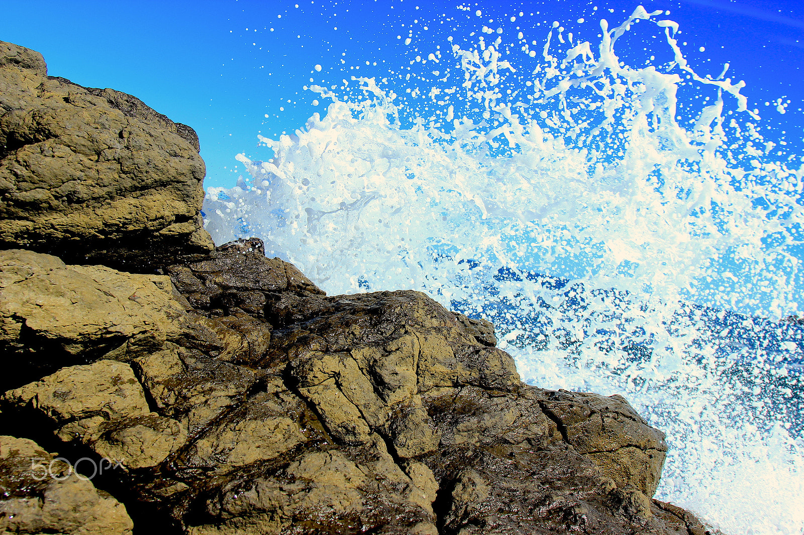 Canon EOS 600D (Rebel EOS T3i / EOS Kiss X5) sample photo. Splash back by cory forrest photography