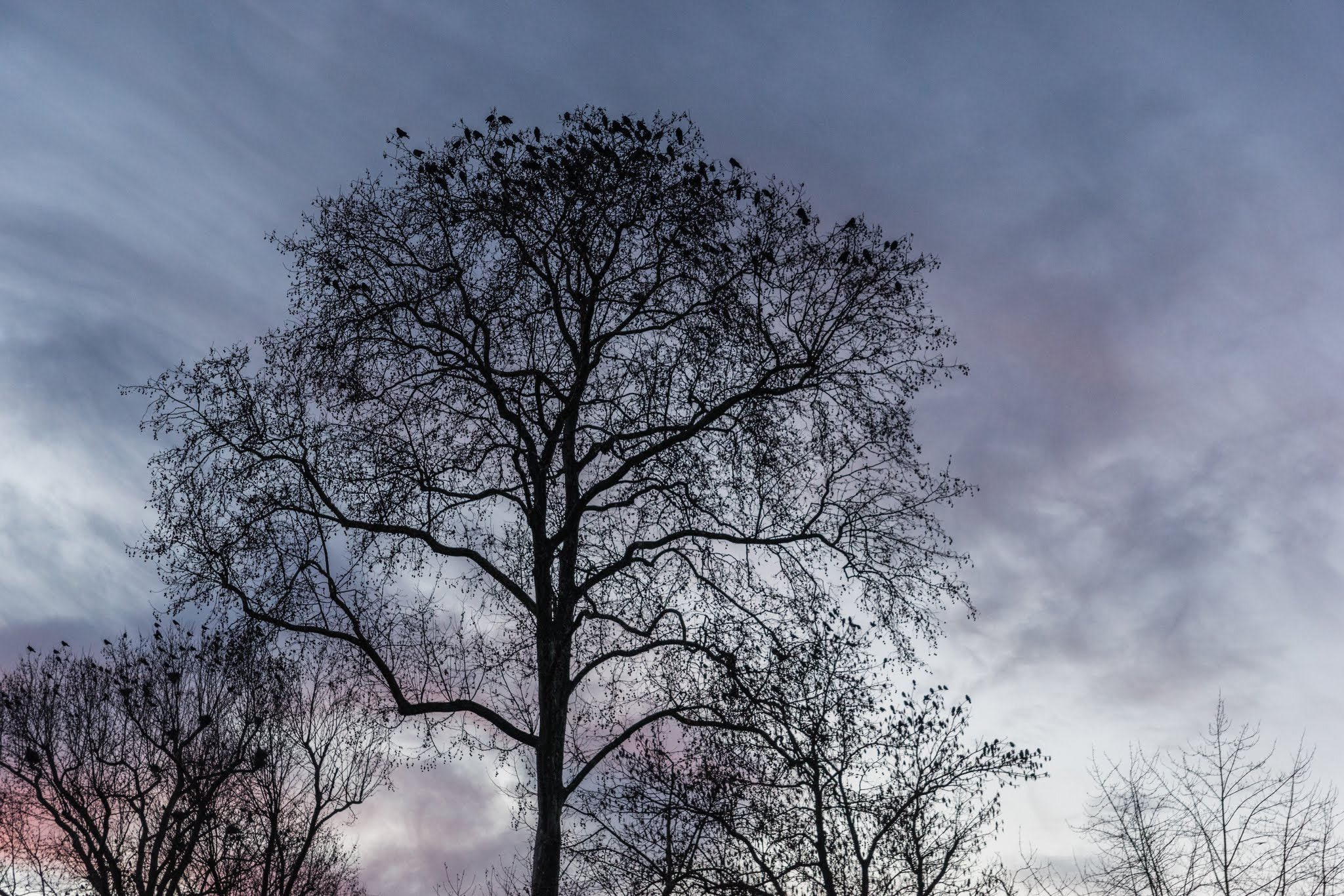 24-70mm F2.8 sample photo. Metz photography